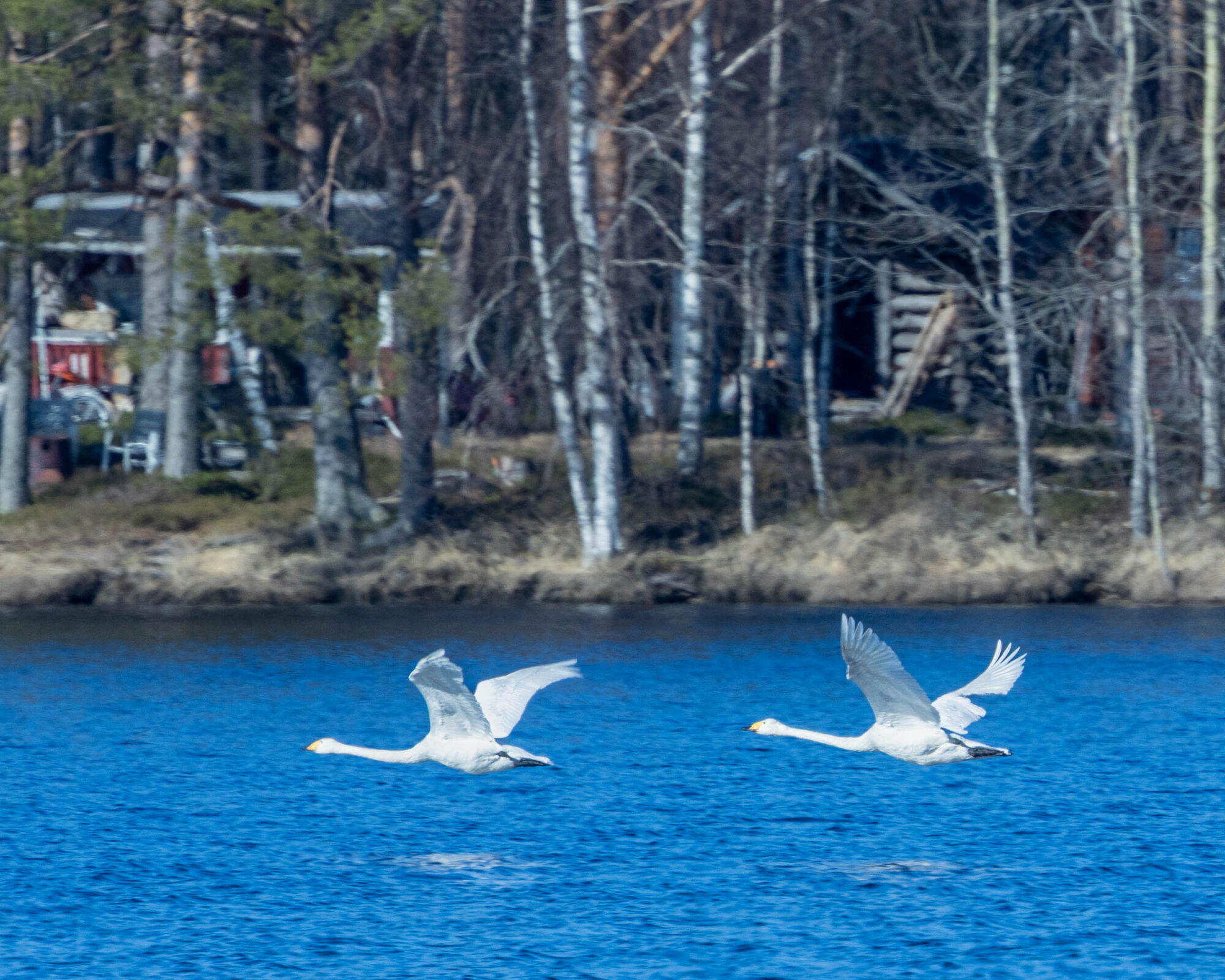 Valokuvaaja: Hannu Tikkanen