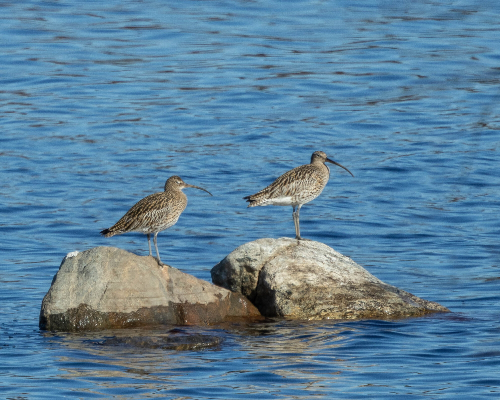 Valokuvaaja: Hannu Tikkanen