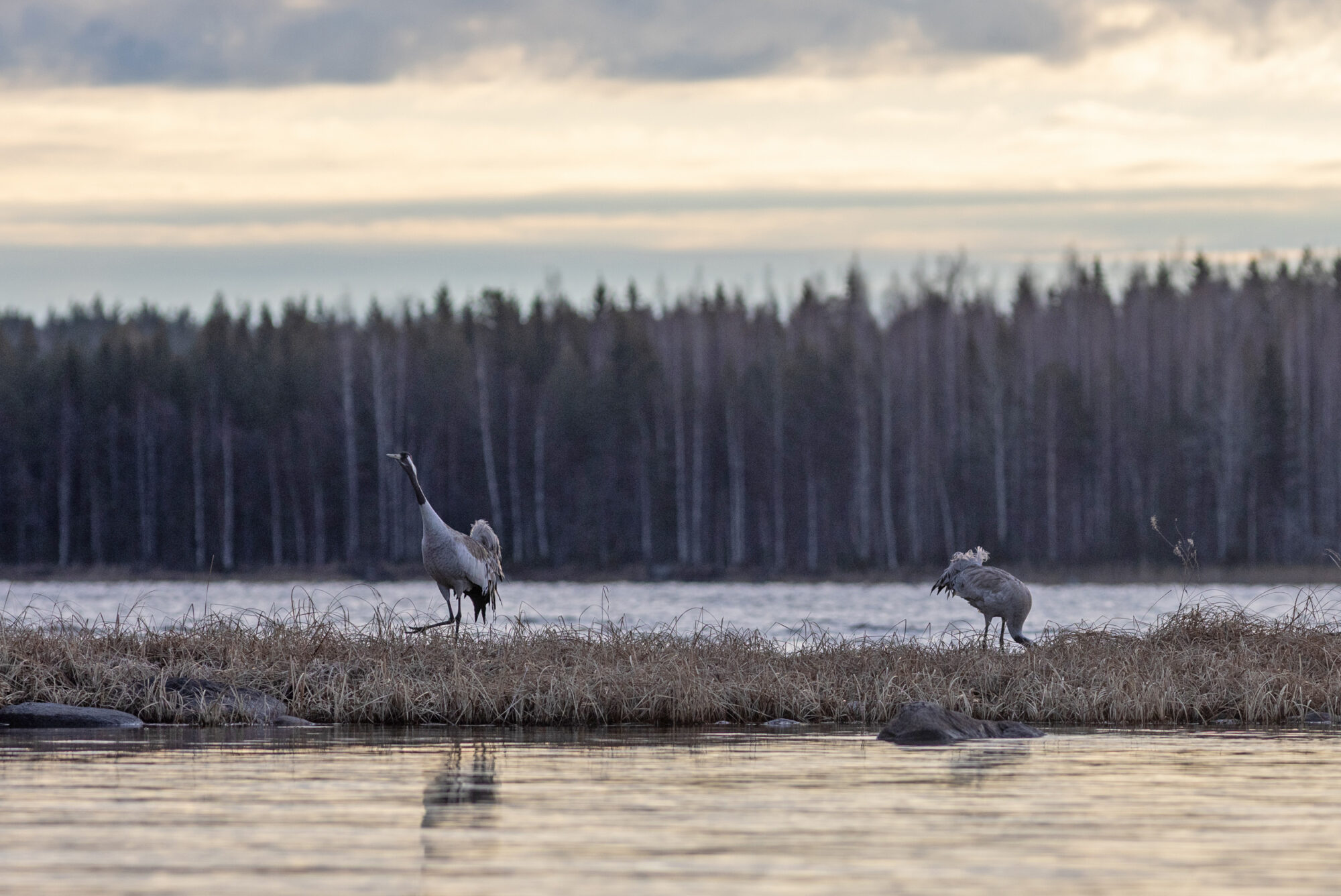 Valokuvaaja: Irma Kortekallio
