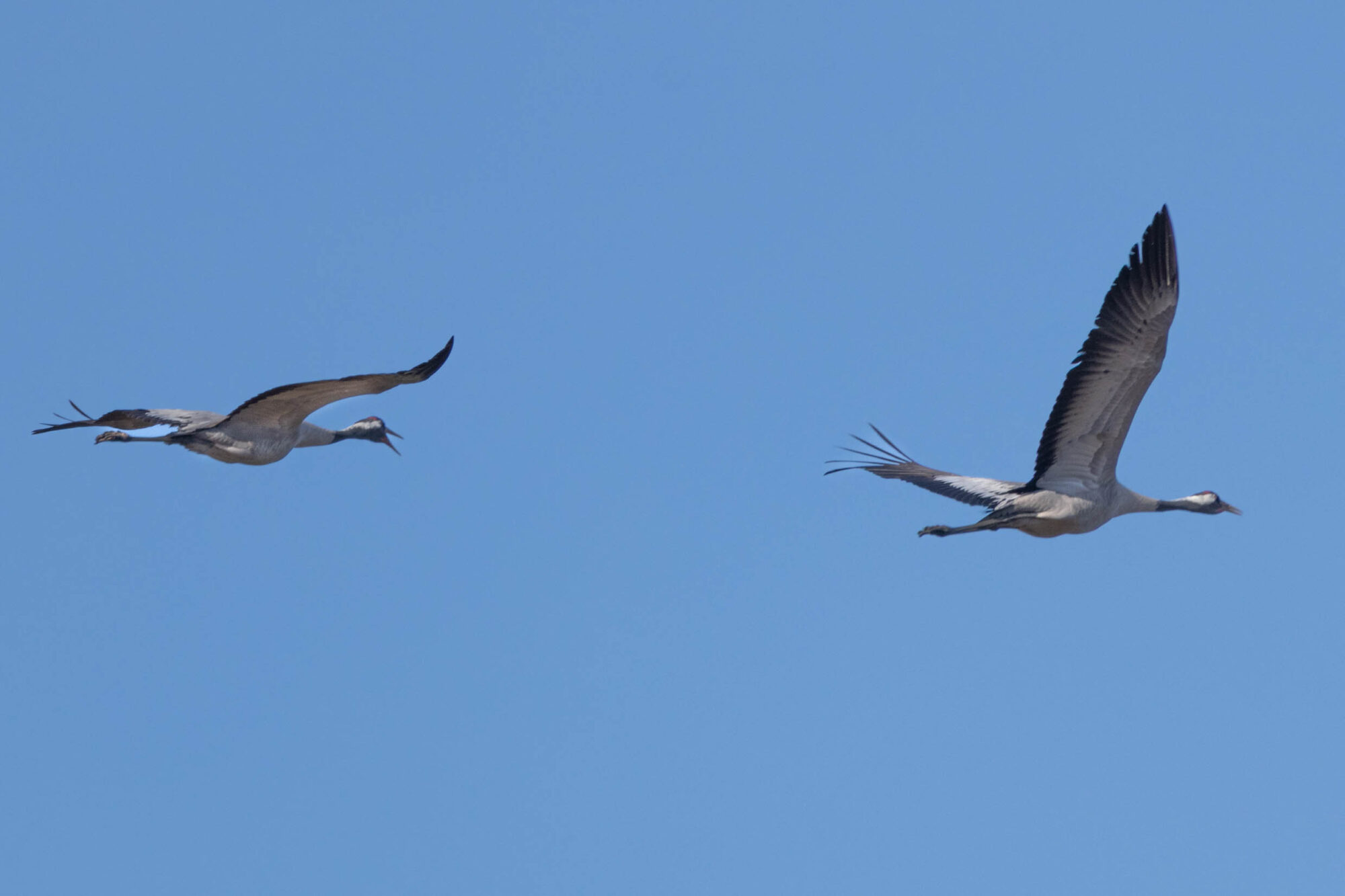 Valokuvaaja: Hannu Tikkanen