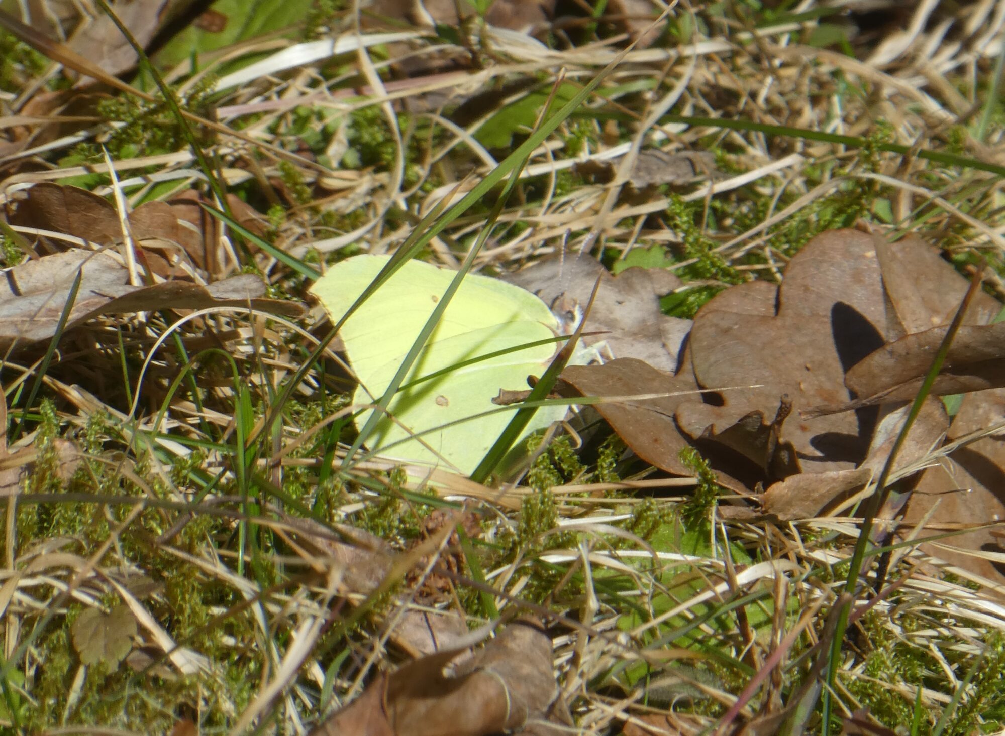 Valokuvaaja: Anja Mustamaa