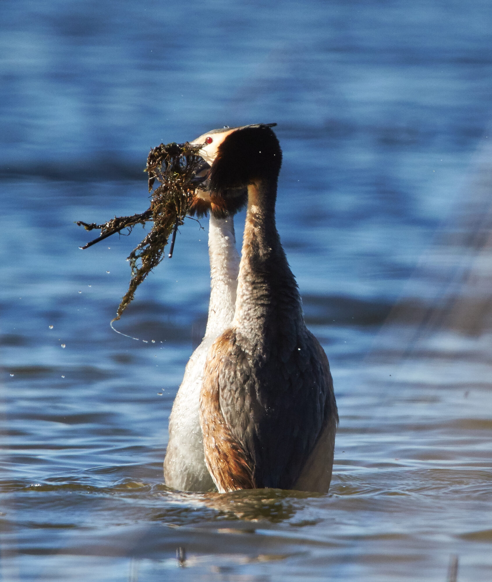 Valokuvaaja: Tarja Kouvo