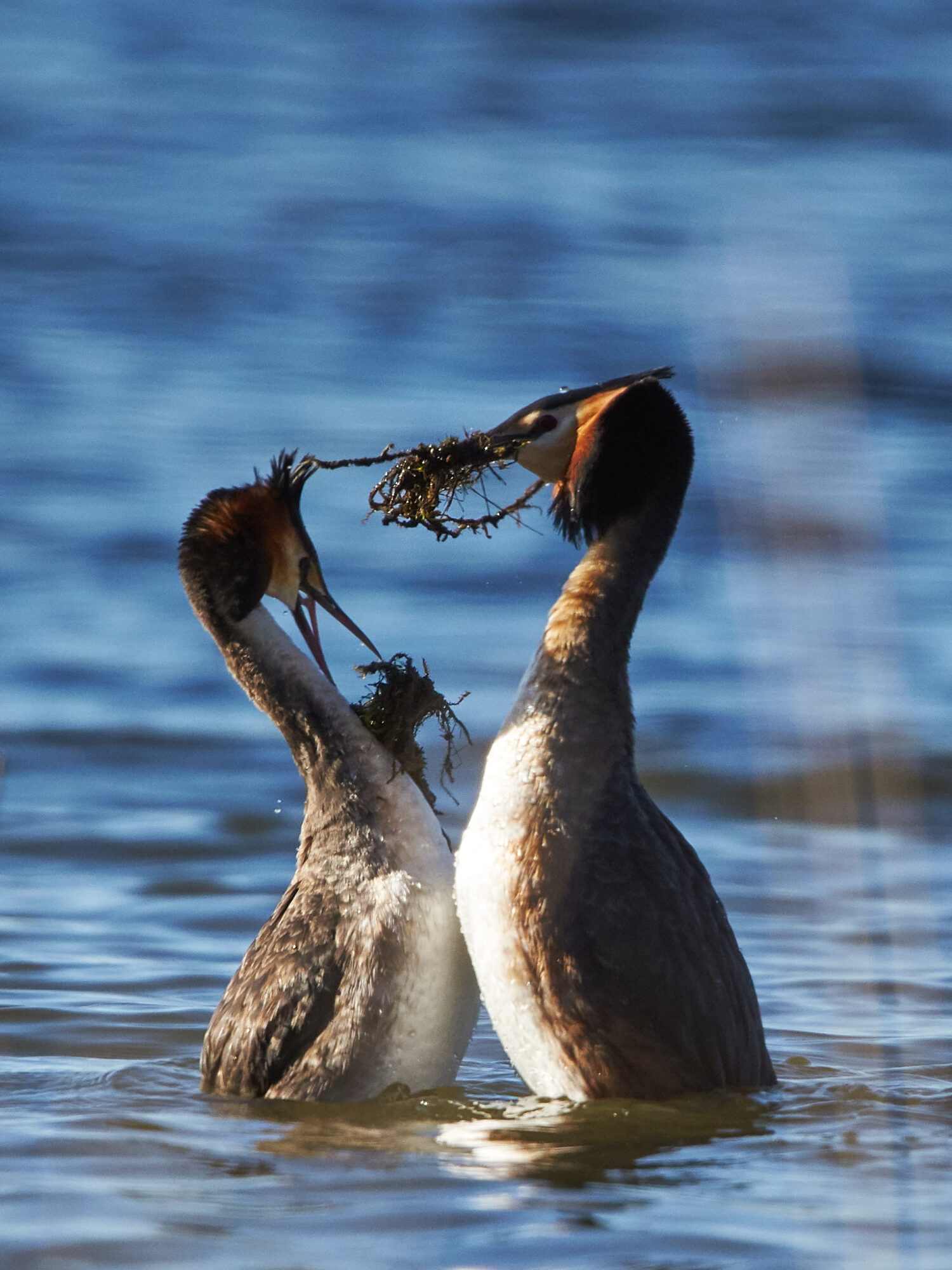 Valokuvaaja: Tarja Kouvo