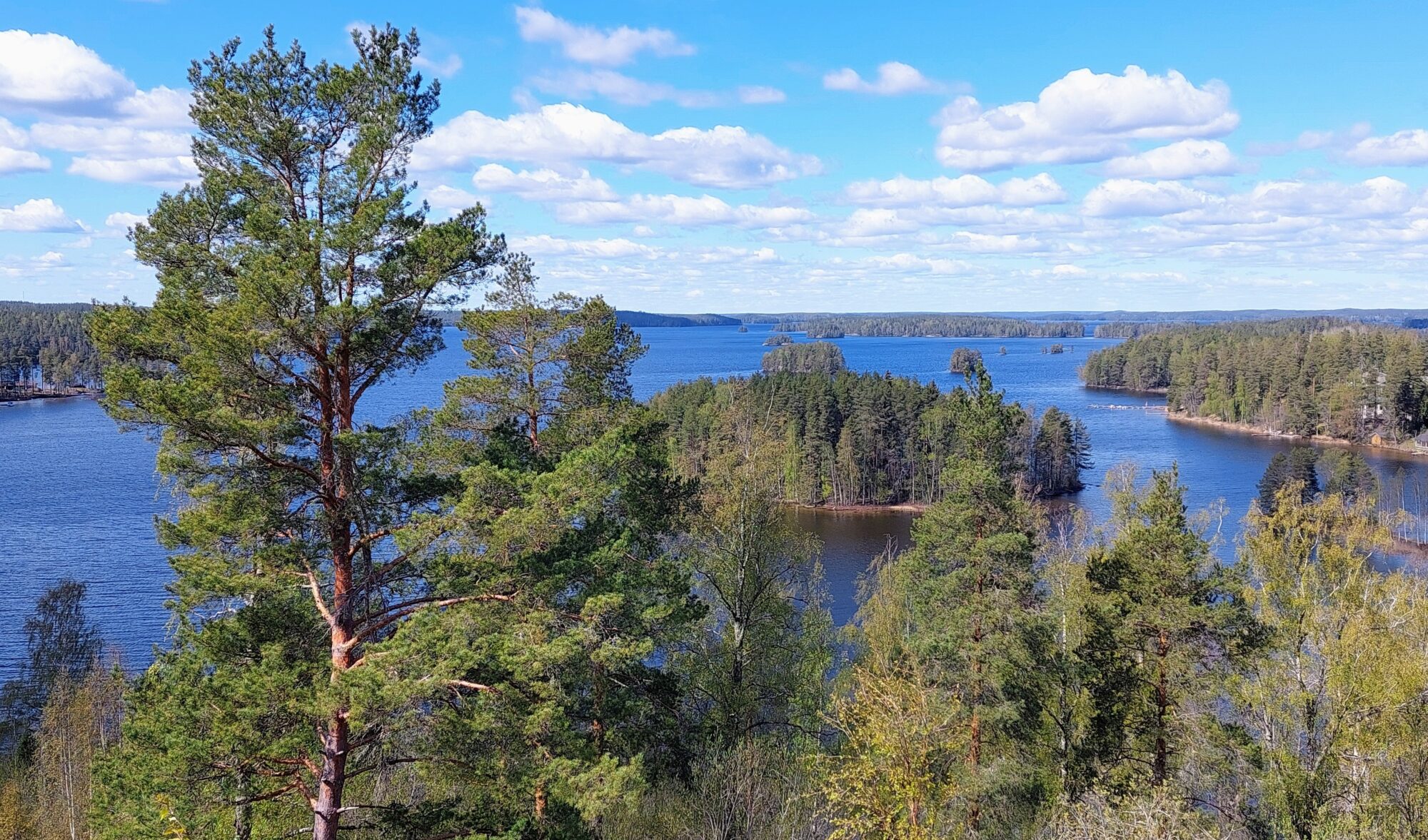 Valokuvaaja: Tarja Naukkarinen