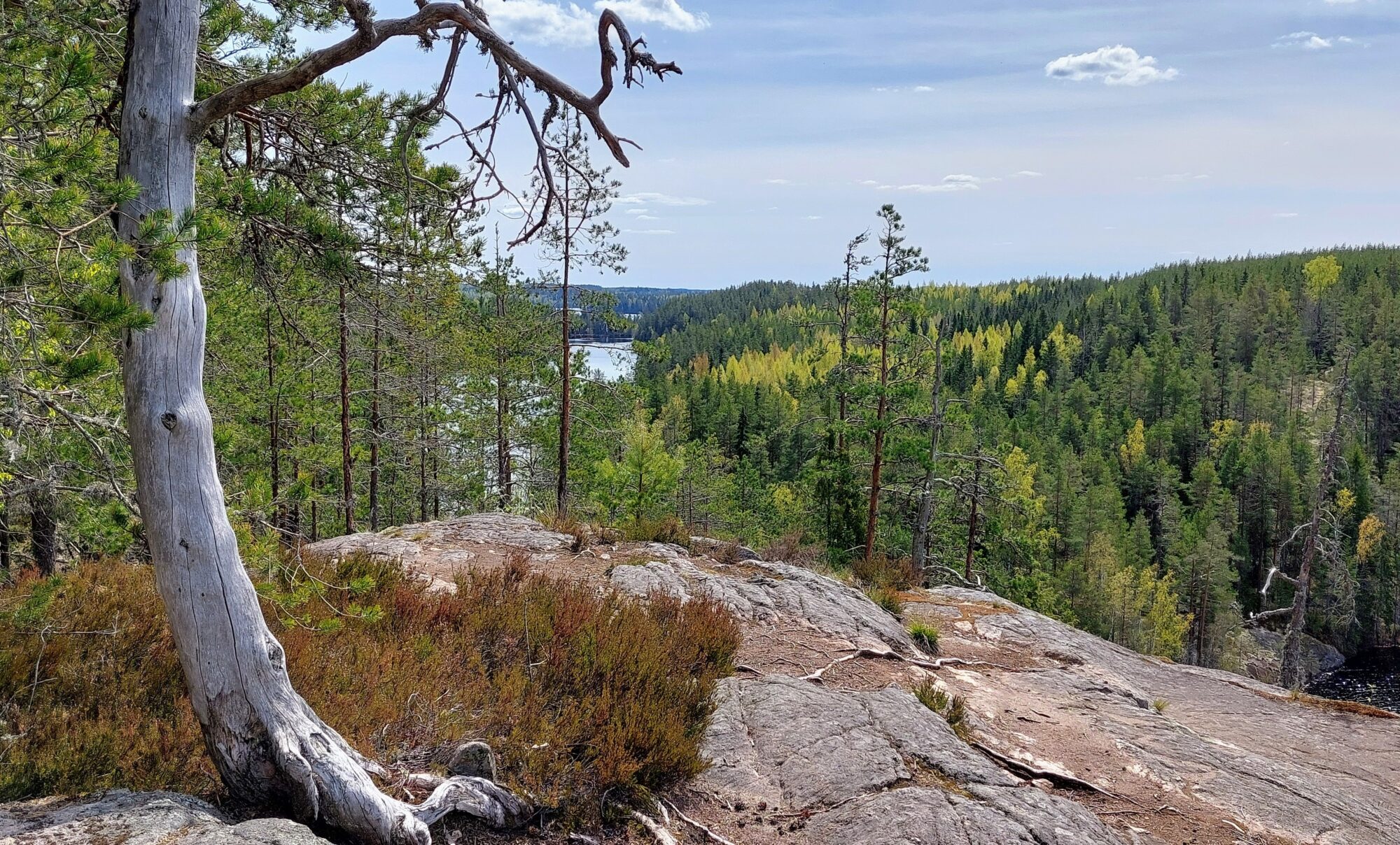 Valokuvaaja: Tarja Naukkarinen