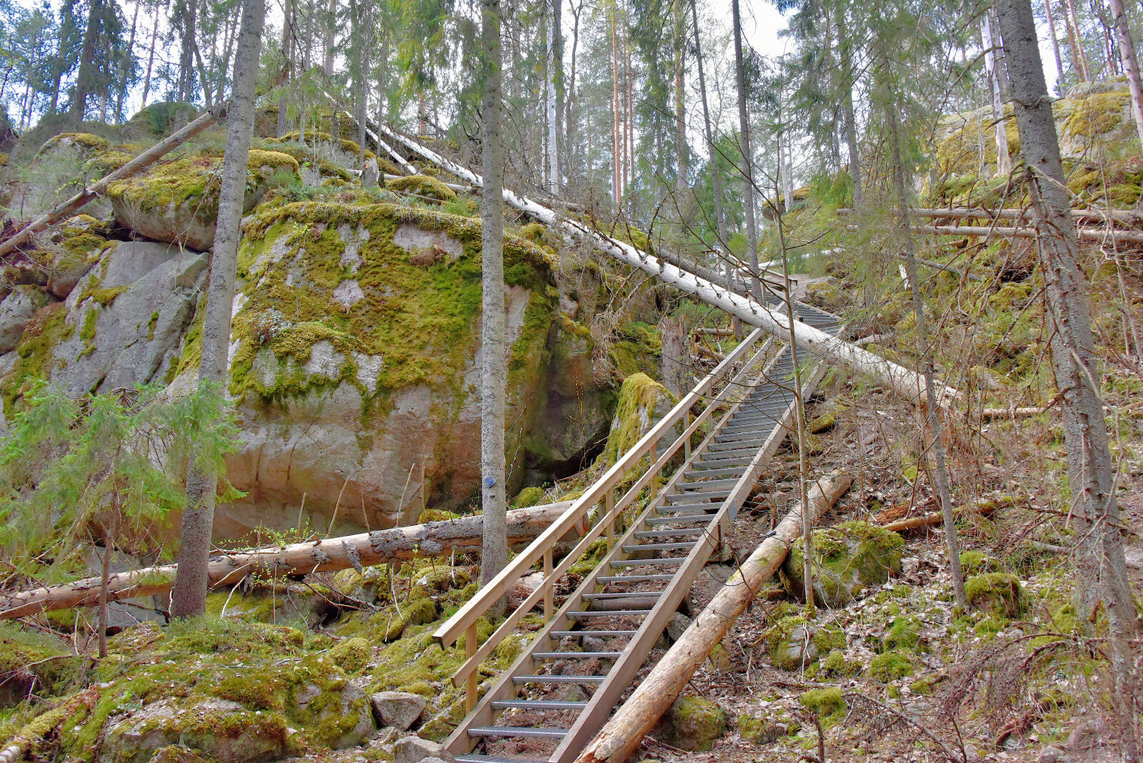 Valokuvaaja: Reijo Juurinen
