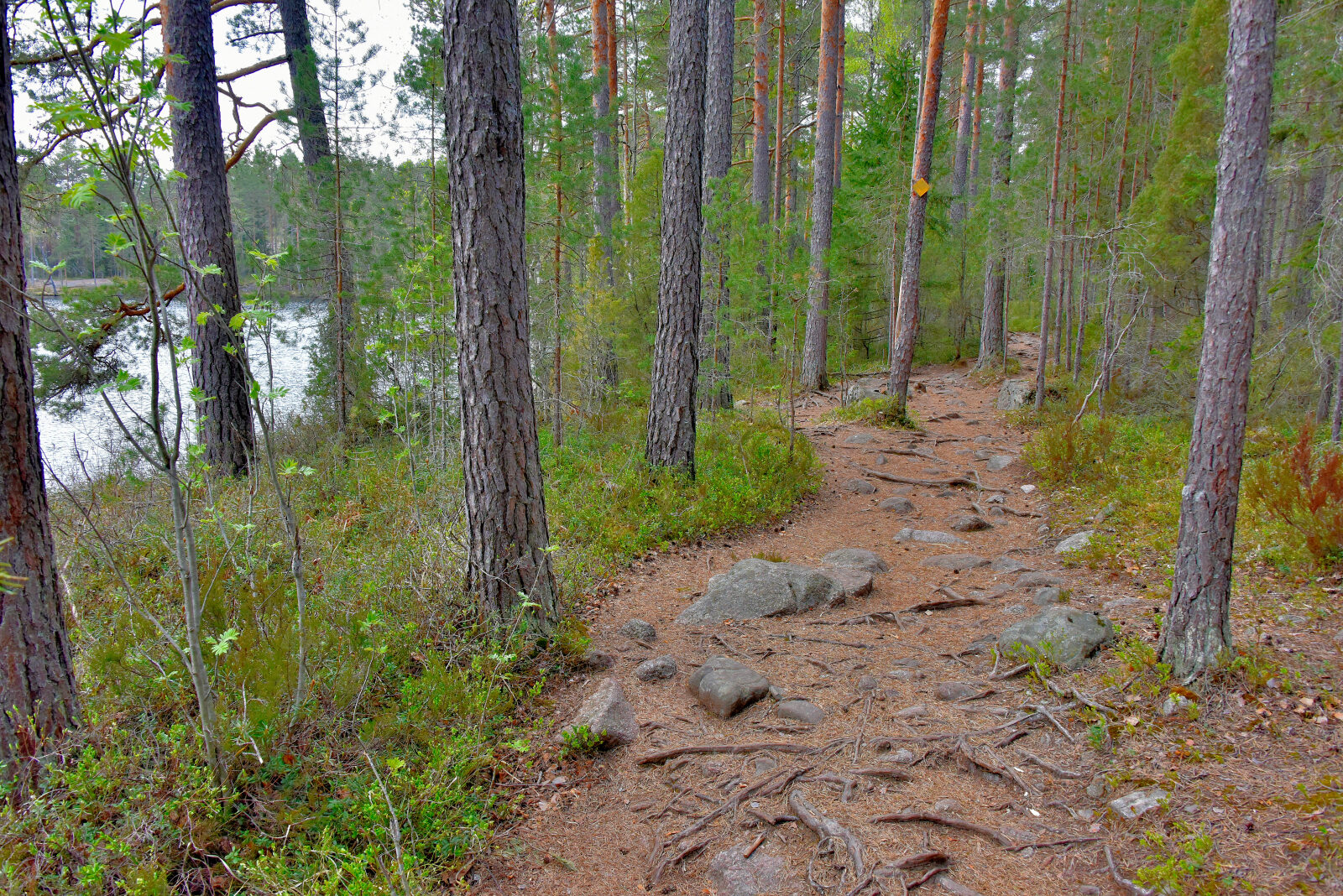Valokuvaaja: Reijo Juurinen