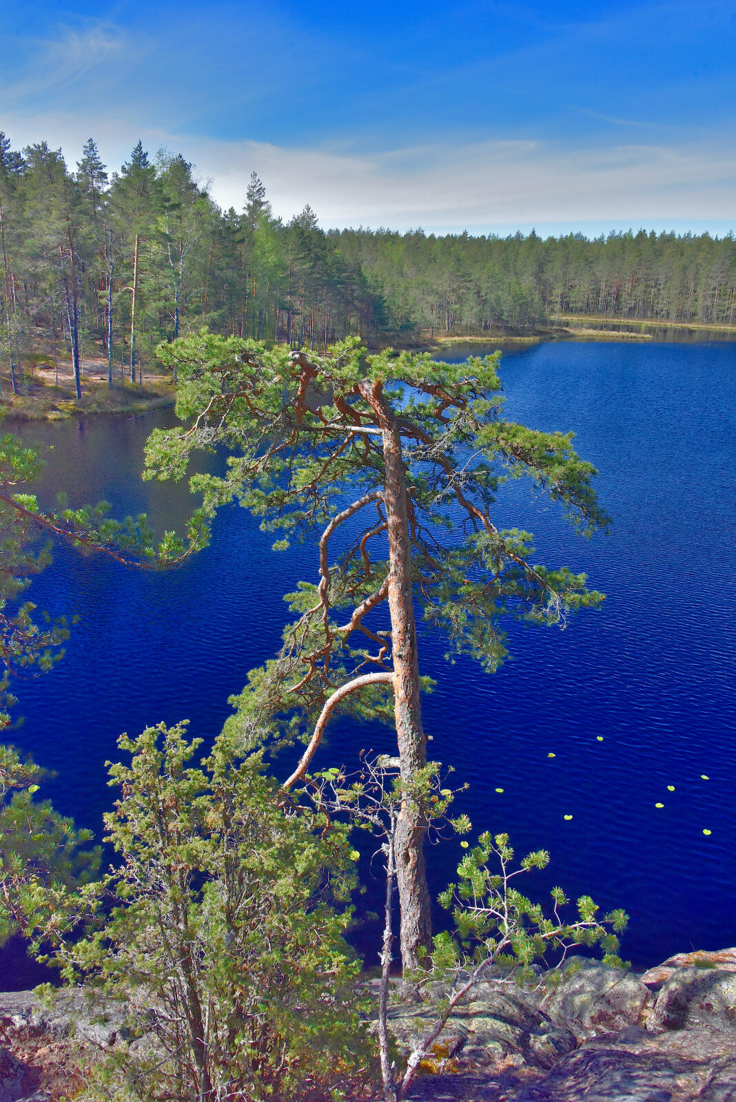 Valokuvaaja: Reijo Juurinen