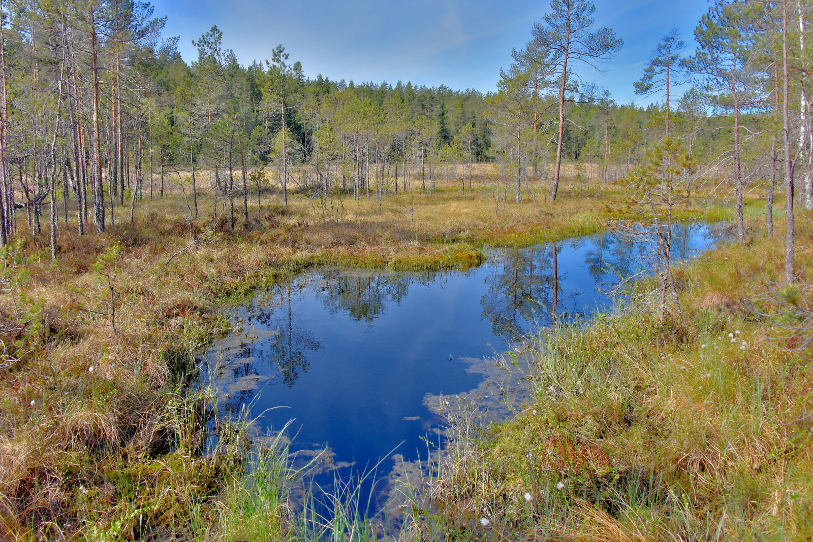 Valokuvaaja: Reijo Juurinen