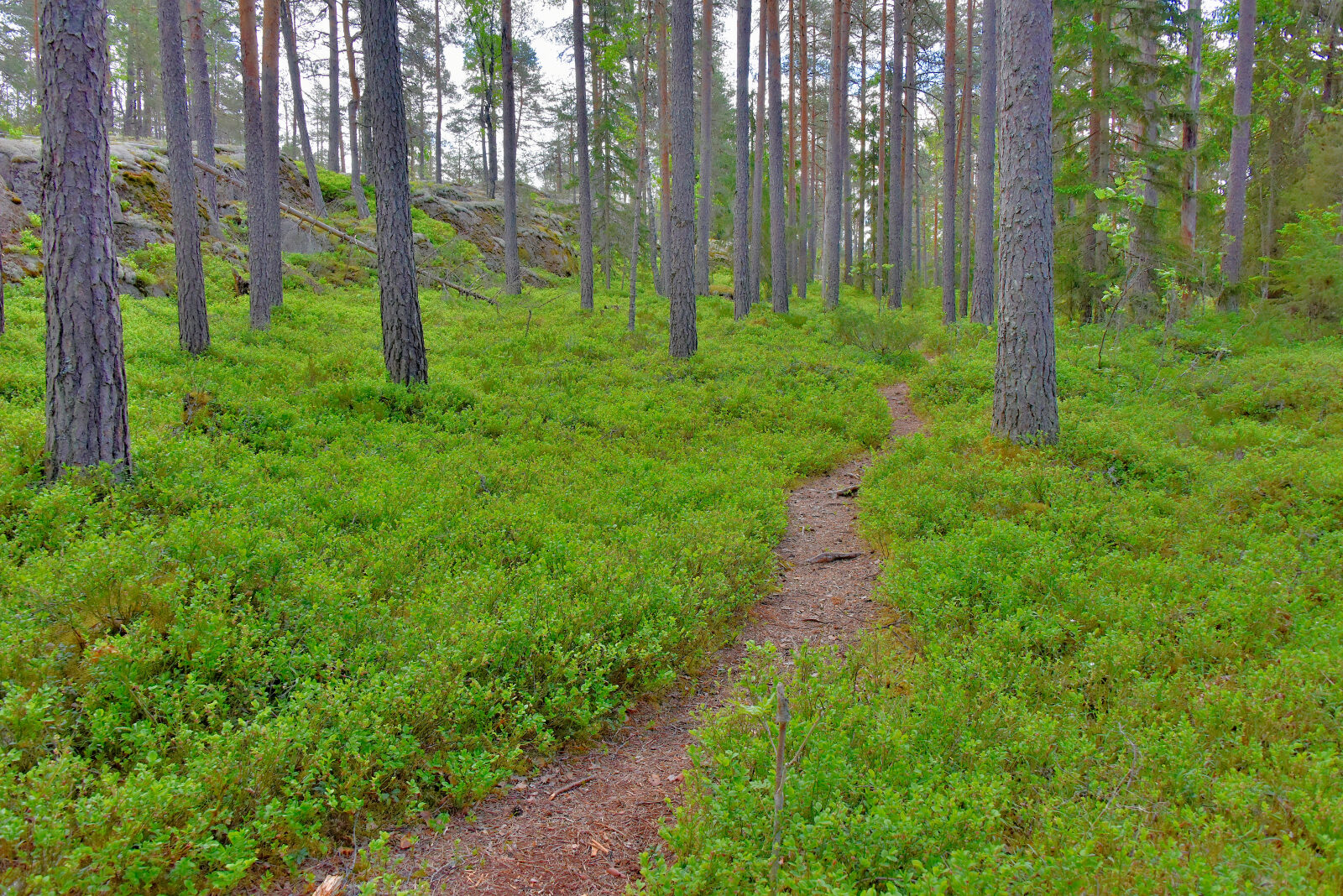 Valokuvaaja: Reijo Juurinen