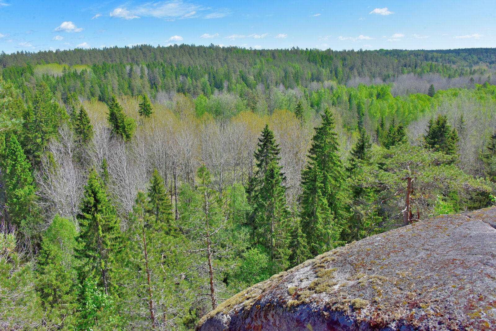 Valokuvaaja: Reijo Juurinen