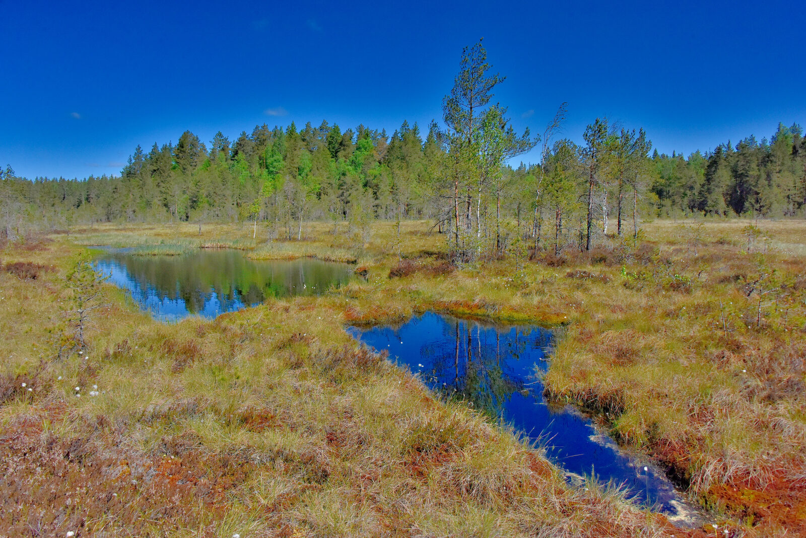 Valokuvaaja: Reijo Juurinen