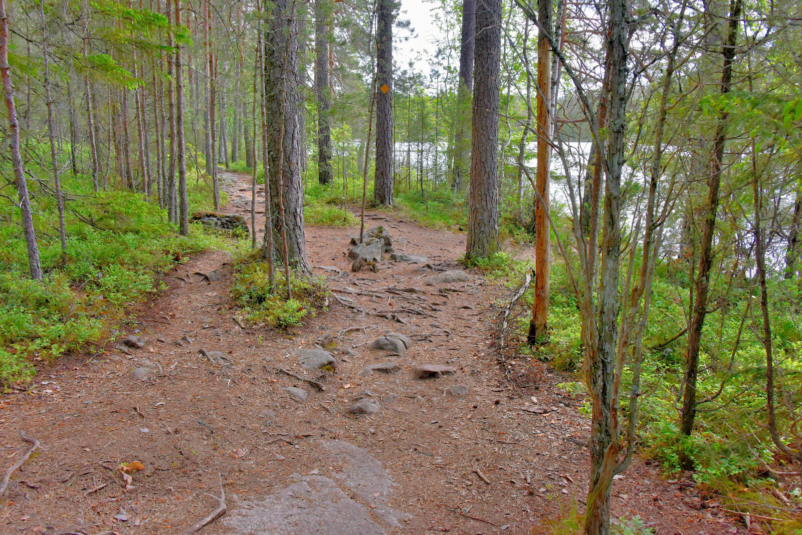 Valokuvaaja: Reijo Juurinen