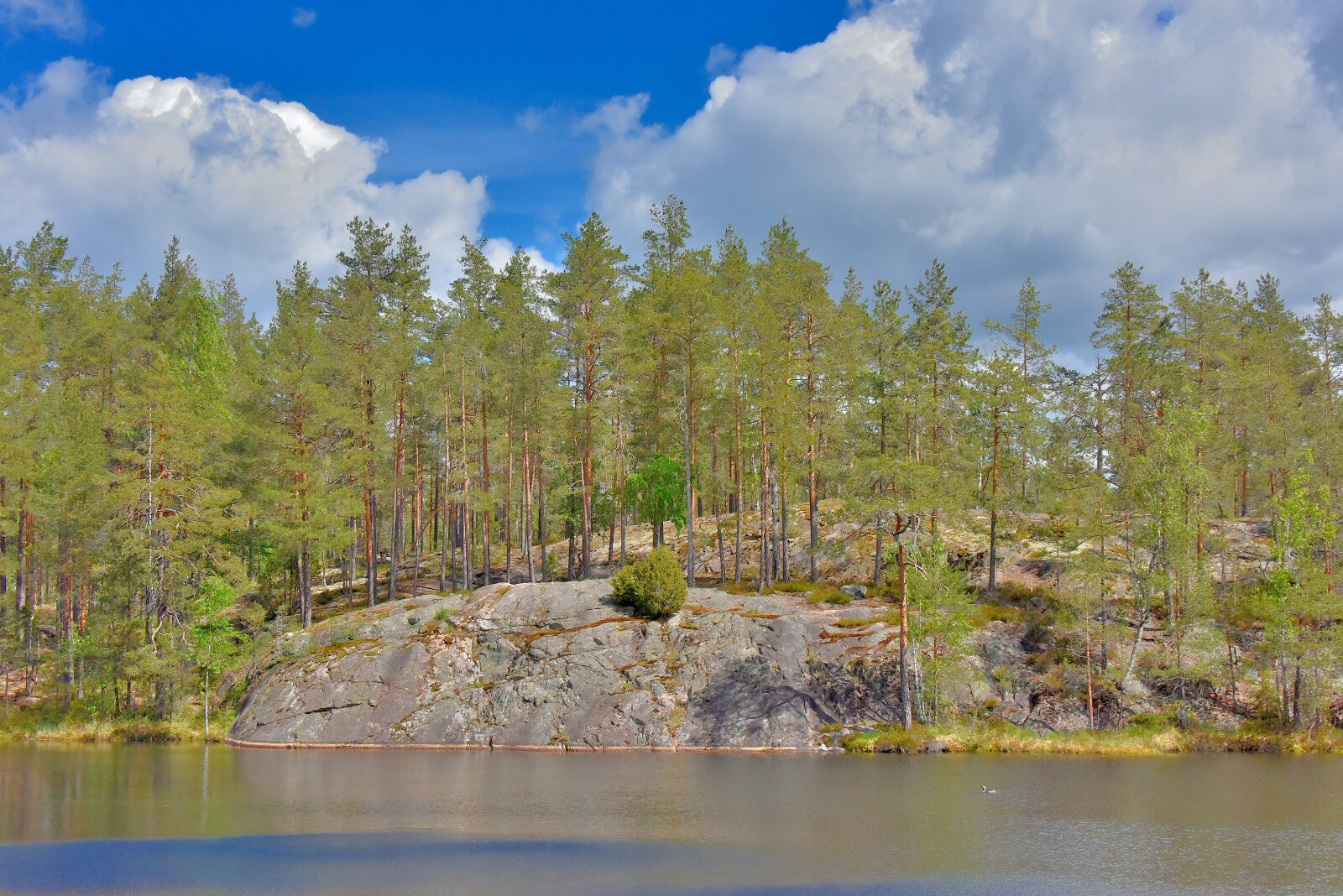 Valokuvaaja: Reijo Juurinen