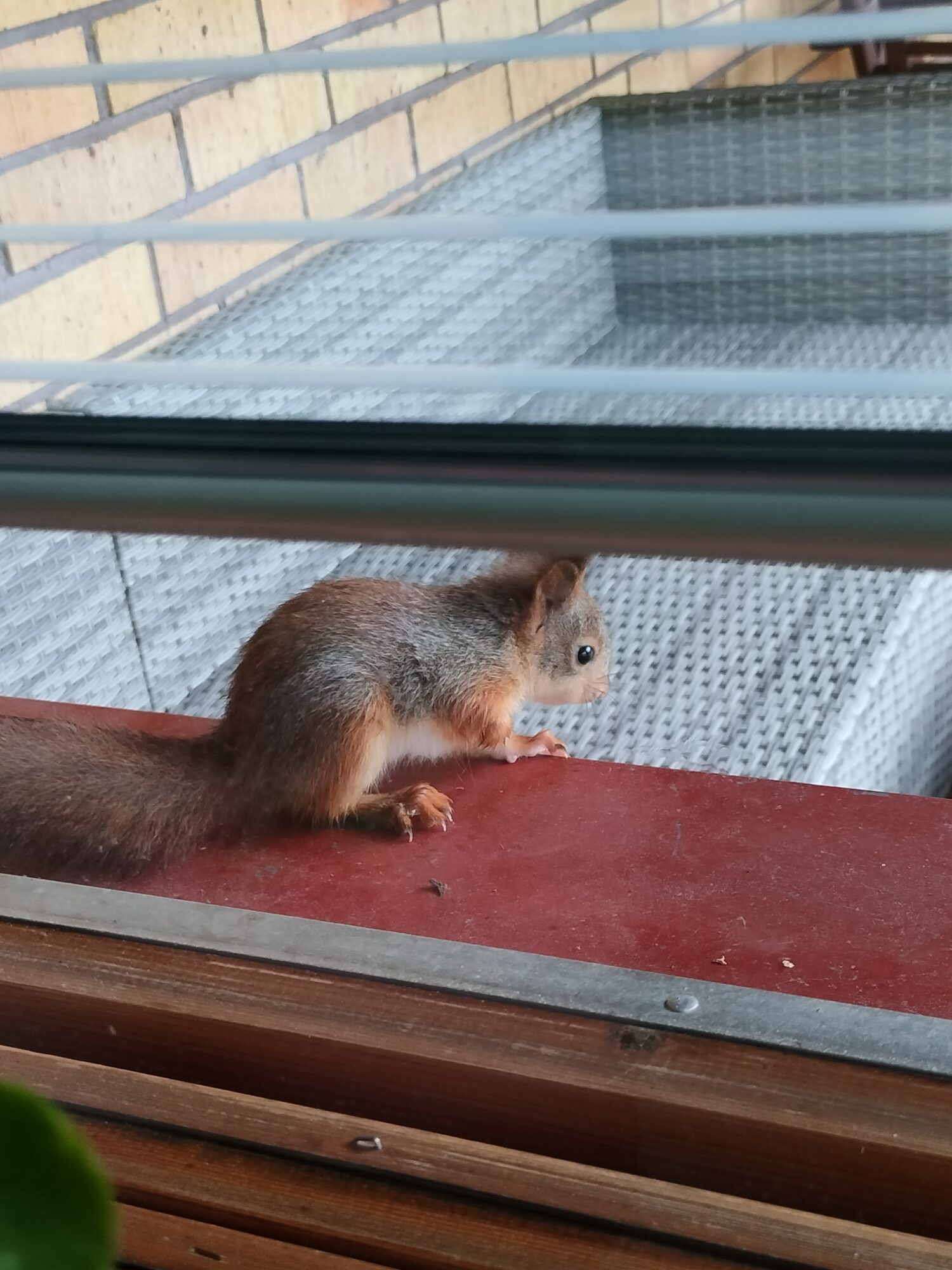 Valokuvaaja: Venla Pohjoisvirta