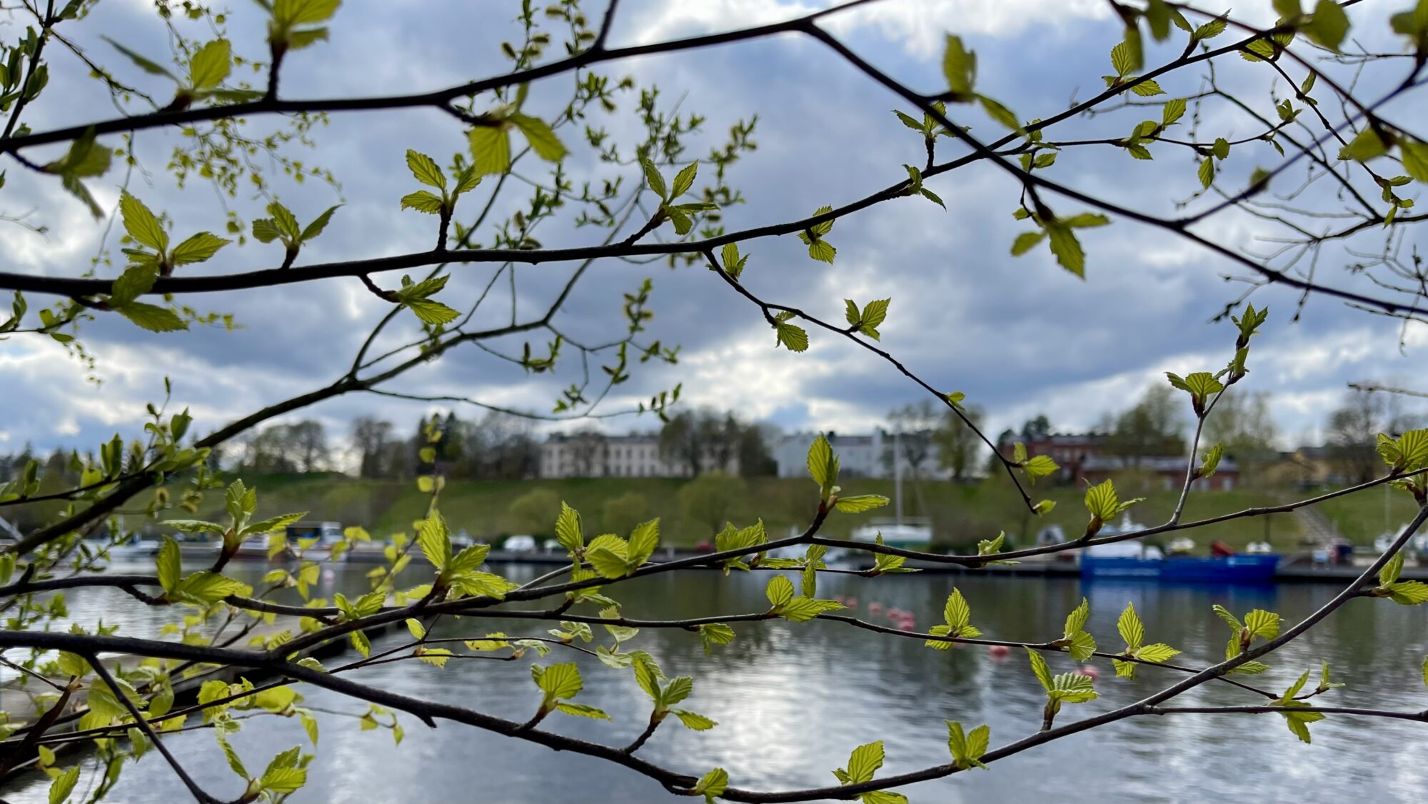 Valokuvaaja: Liisa Niiva-Korpela