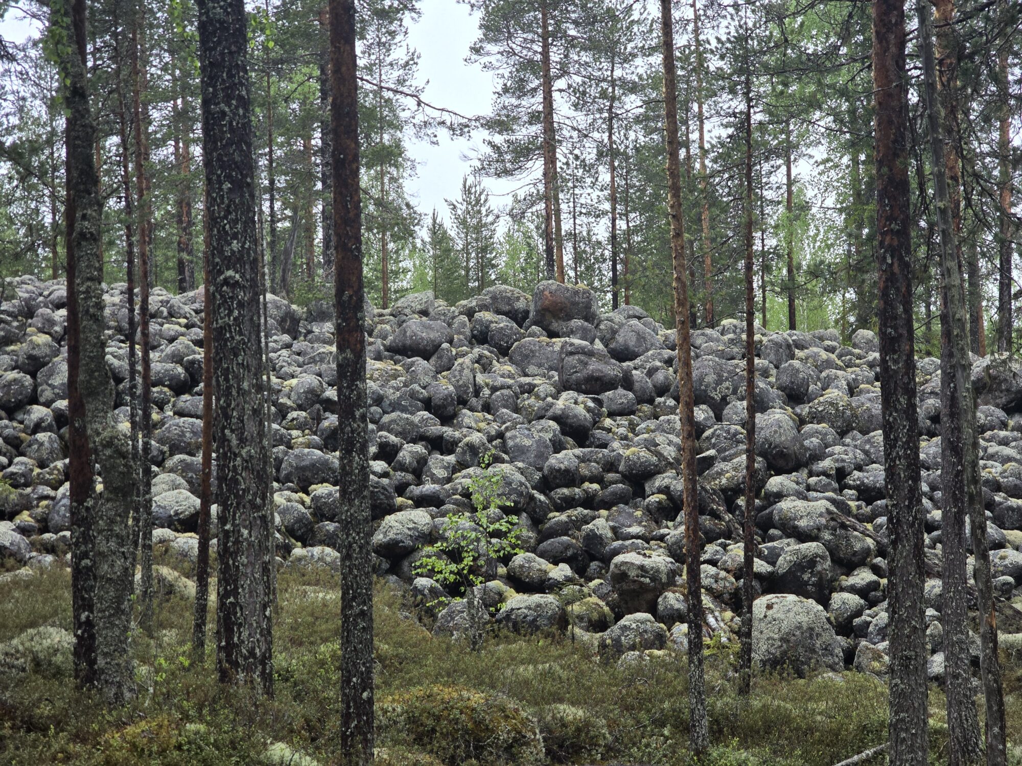 Valokuvaaja: Jaana Saarelainen