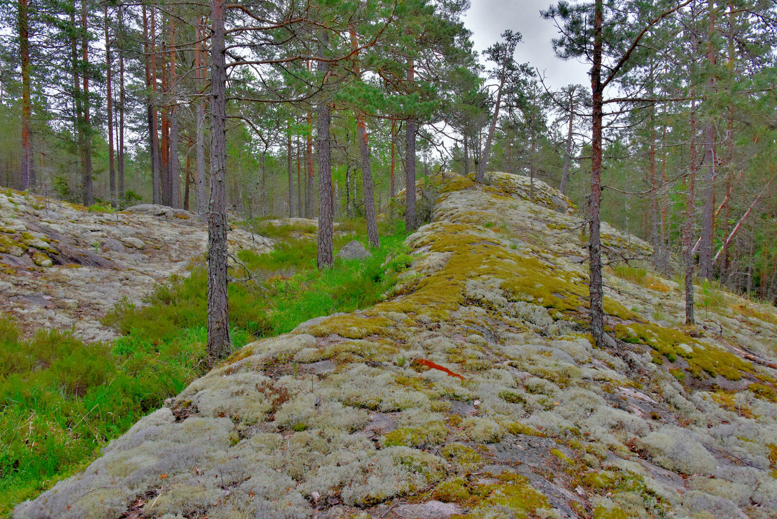 Valokuvaaja: Reijo Juurinen