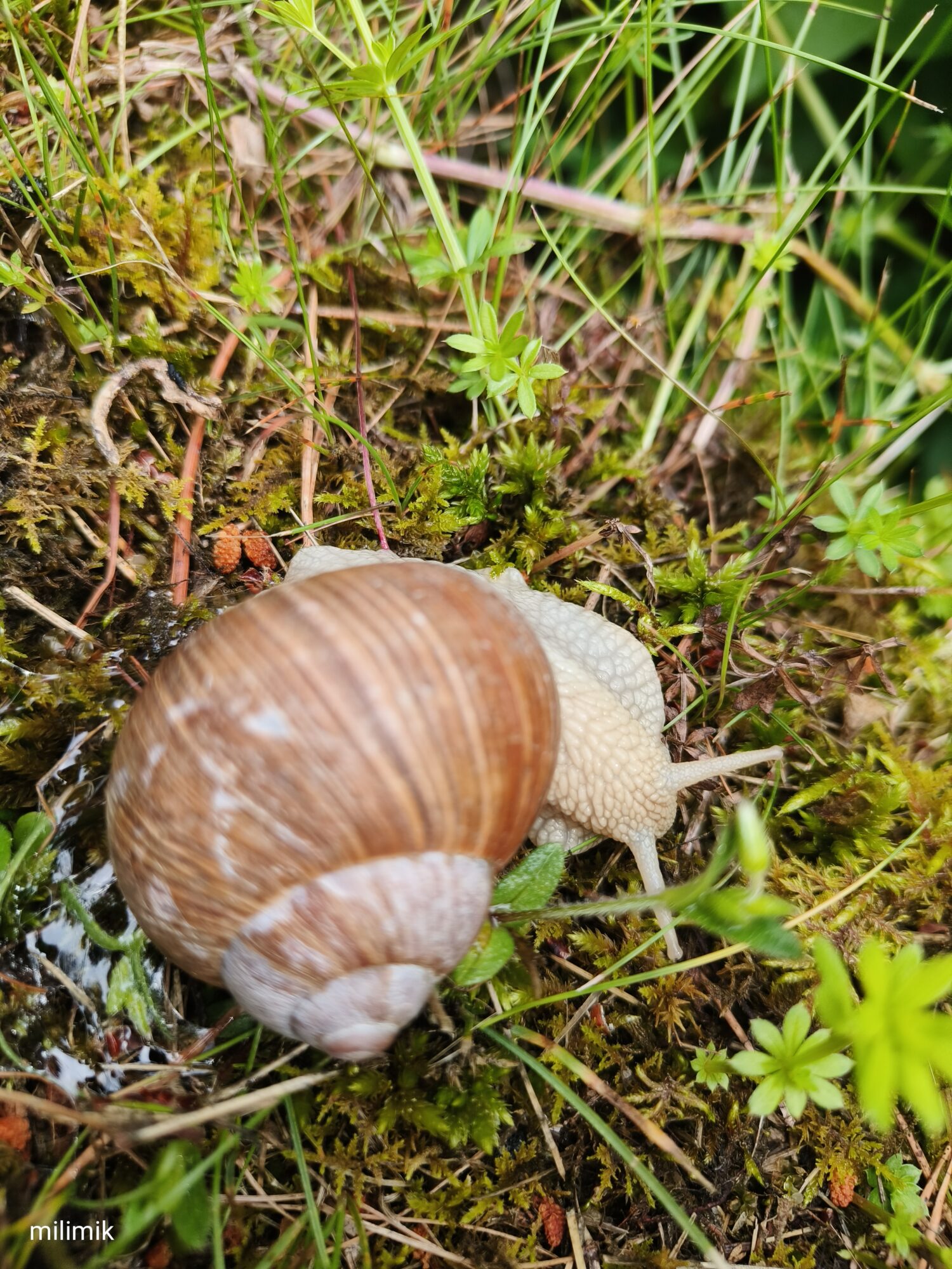 Valokuvaaja: Minna Mikkilä