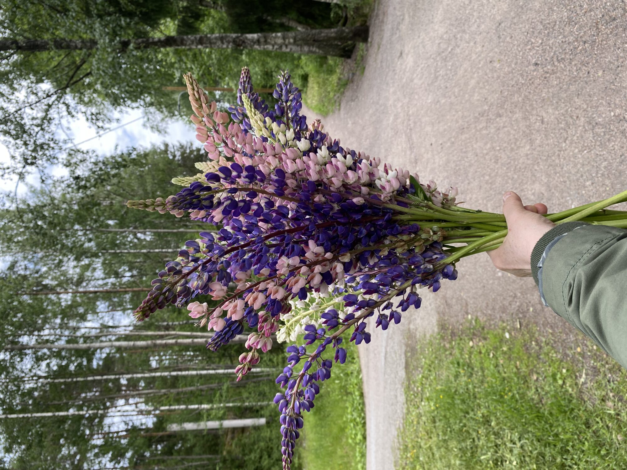 Valokuvaaja: Krista Nyman