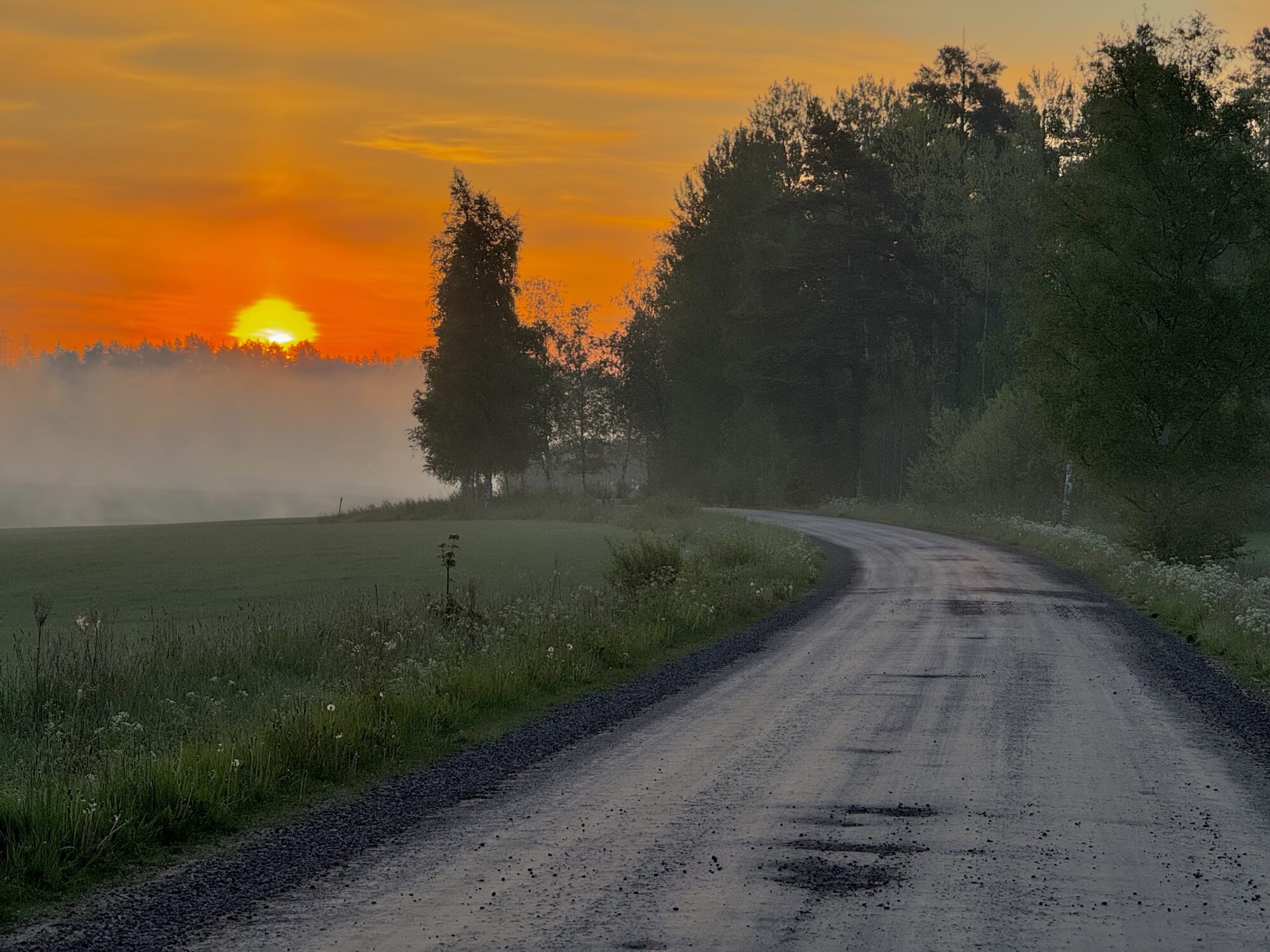 Valokuvaaja: Juhani Peltonen