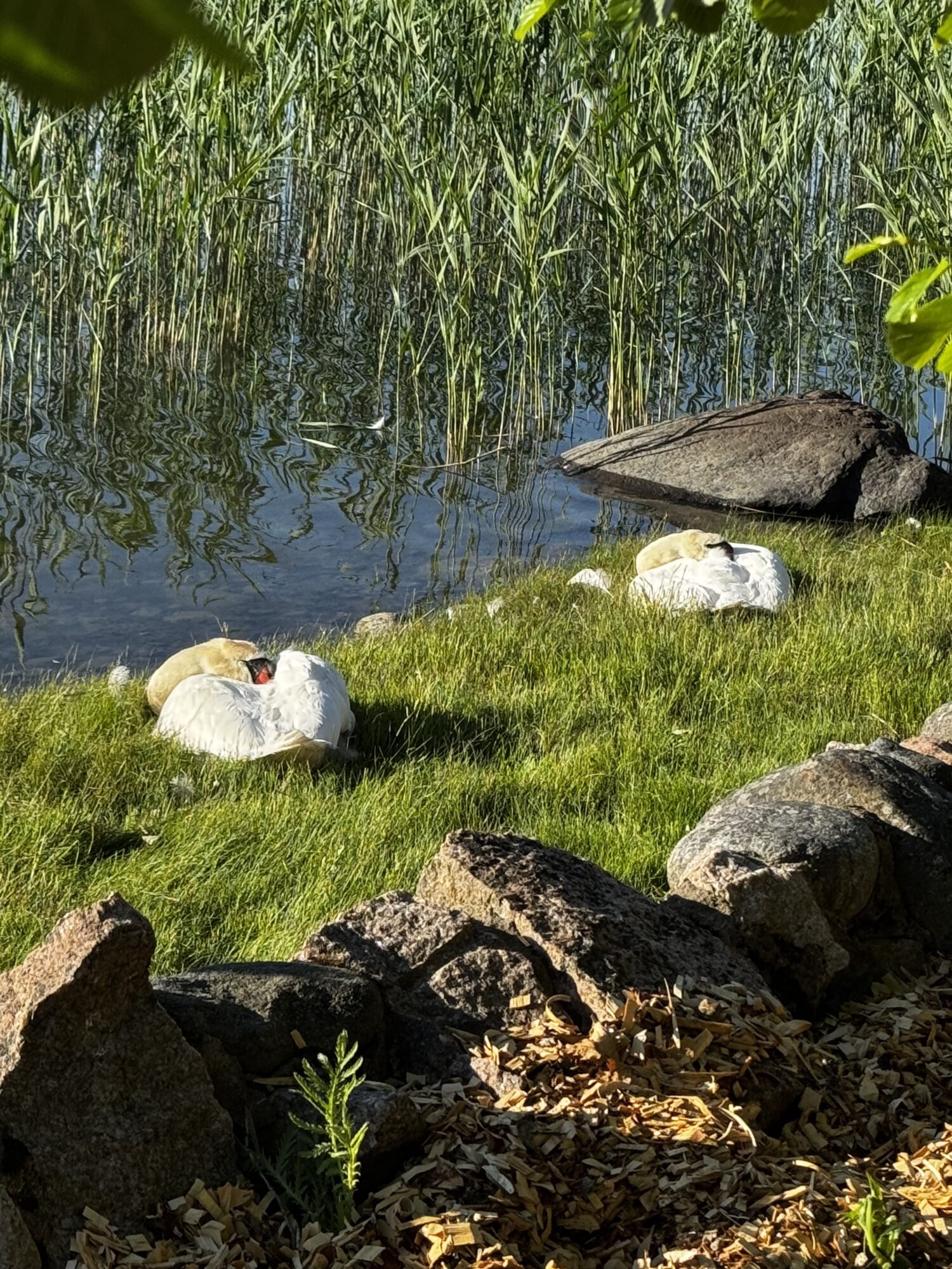 Valokuvaaja: Kaisa Perämäki