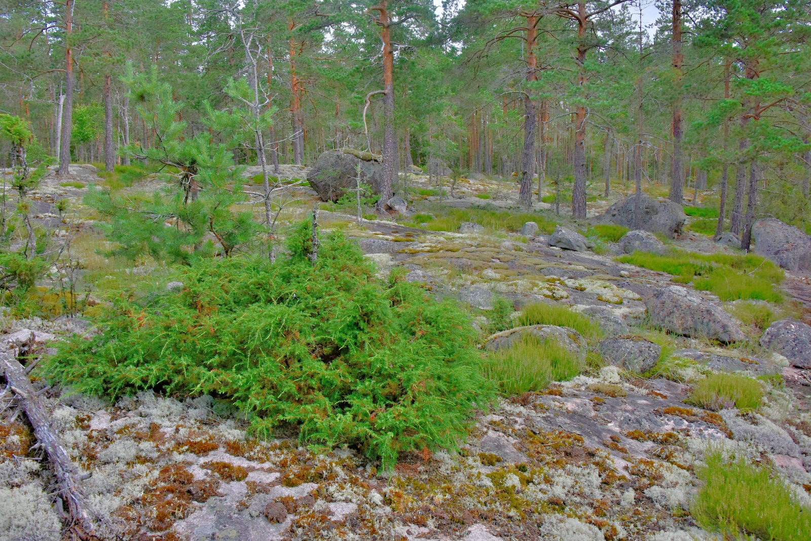Valokuvaaja: Reijo Juurinen
