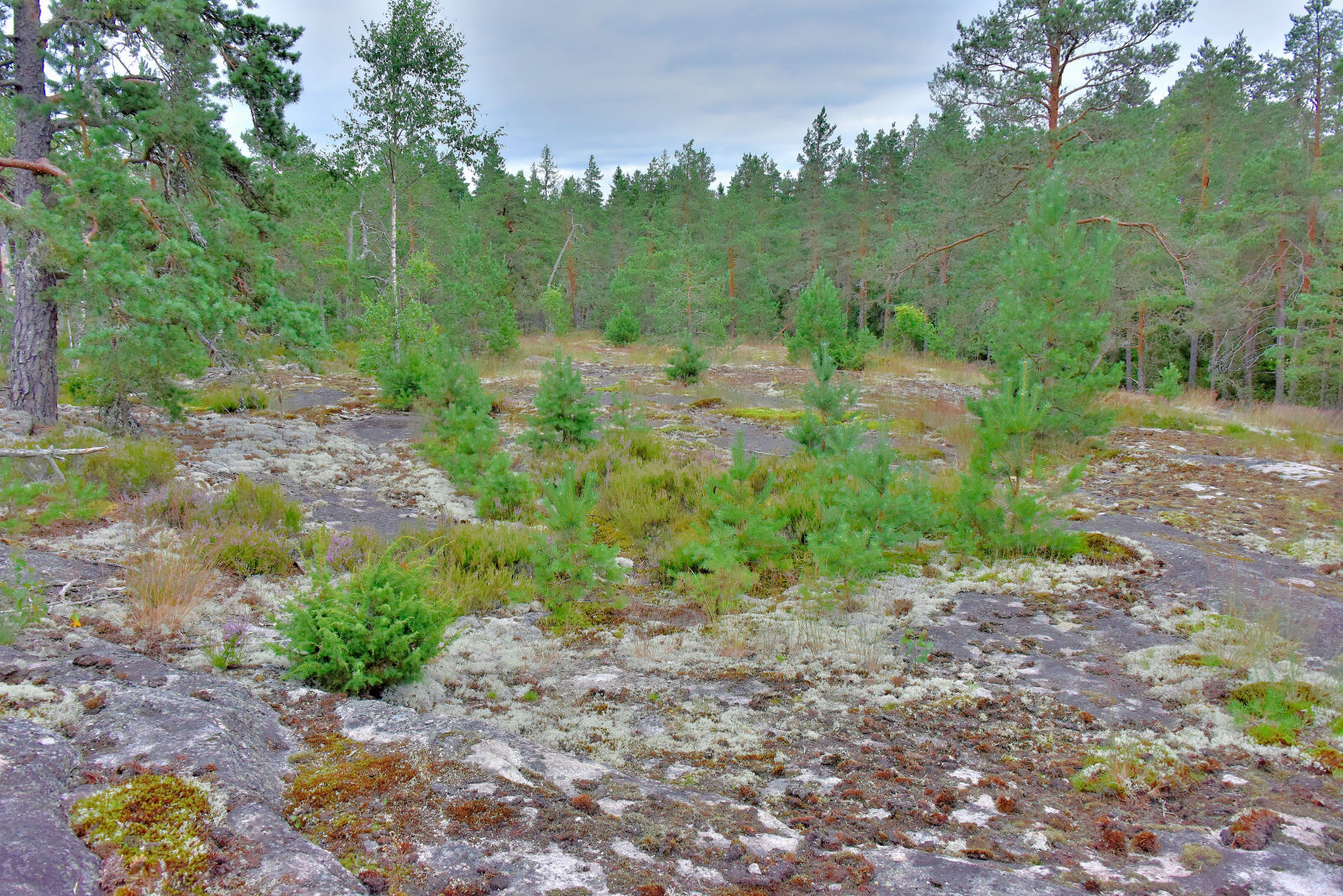 Valokuvaaja: Reijo Juurinen