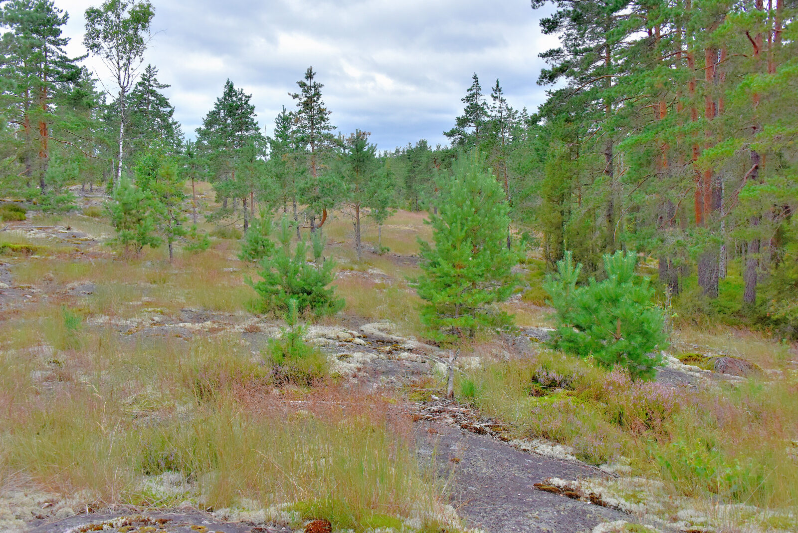 Valokuvaaja: Reijo Juurinen