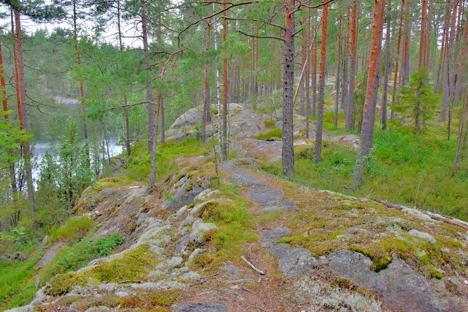Valokuvaaja: Reijo Juurinen