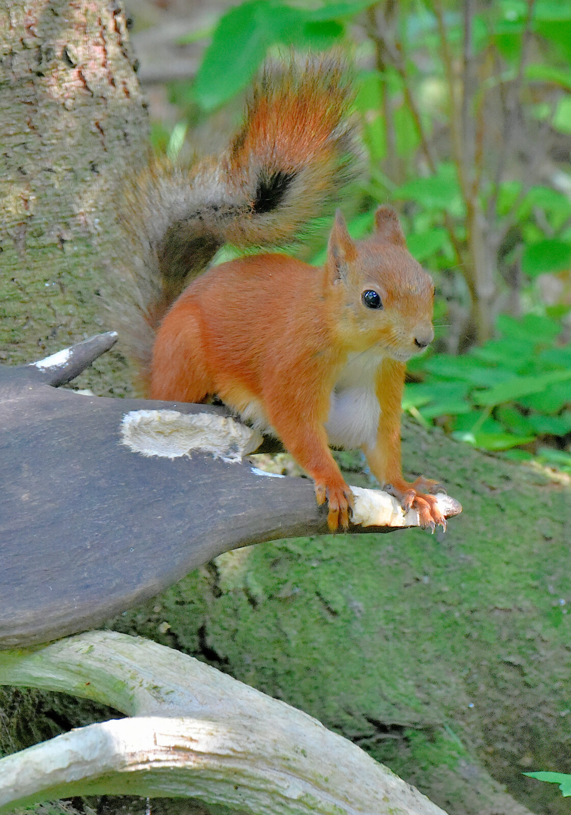 Valokuvaaja: Reijo Juurinen