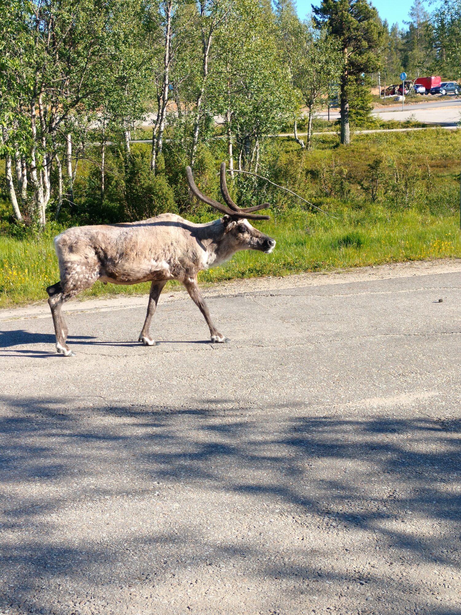 Valokuvaaja: Venla Pohjoisvirta