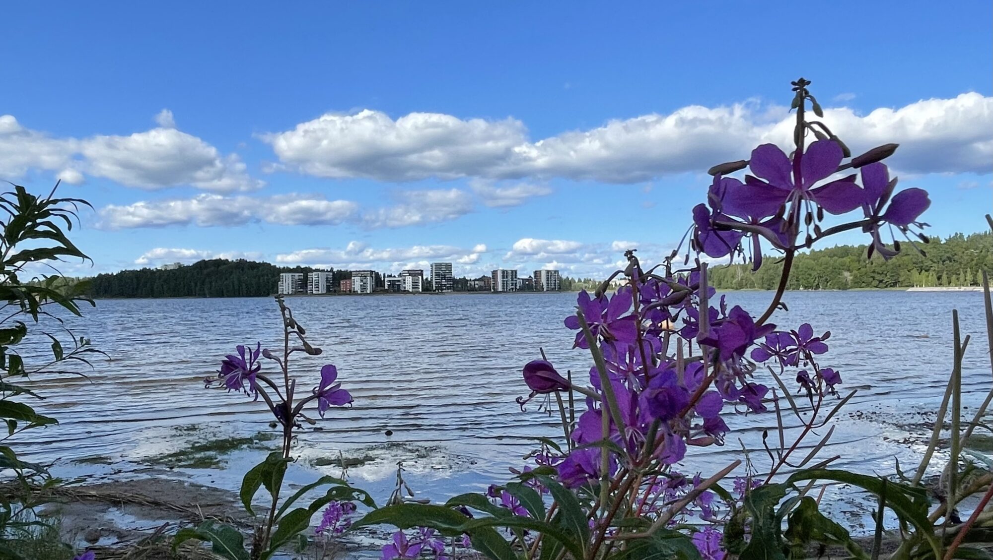 Valokuvaaja: Liisa Niiva-Korpela