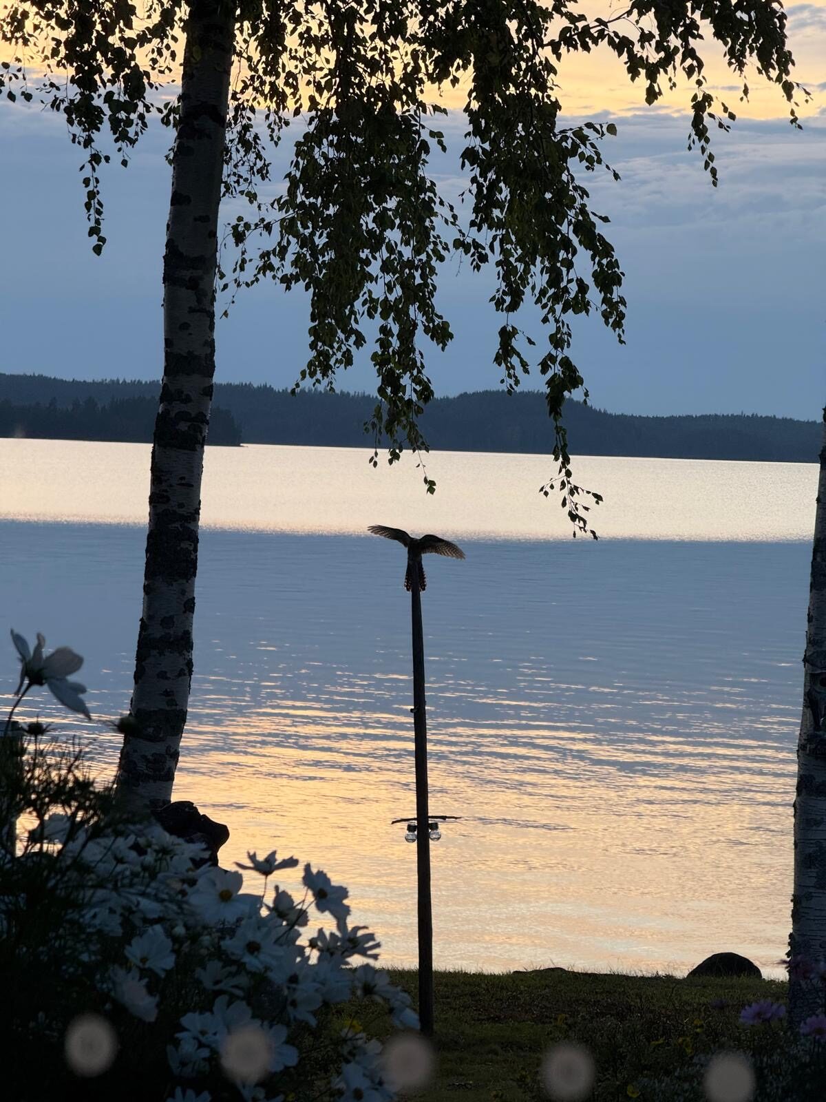 Valokuvaaja: Timo Ikonen