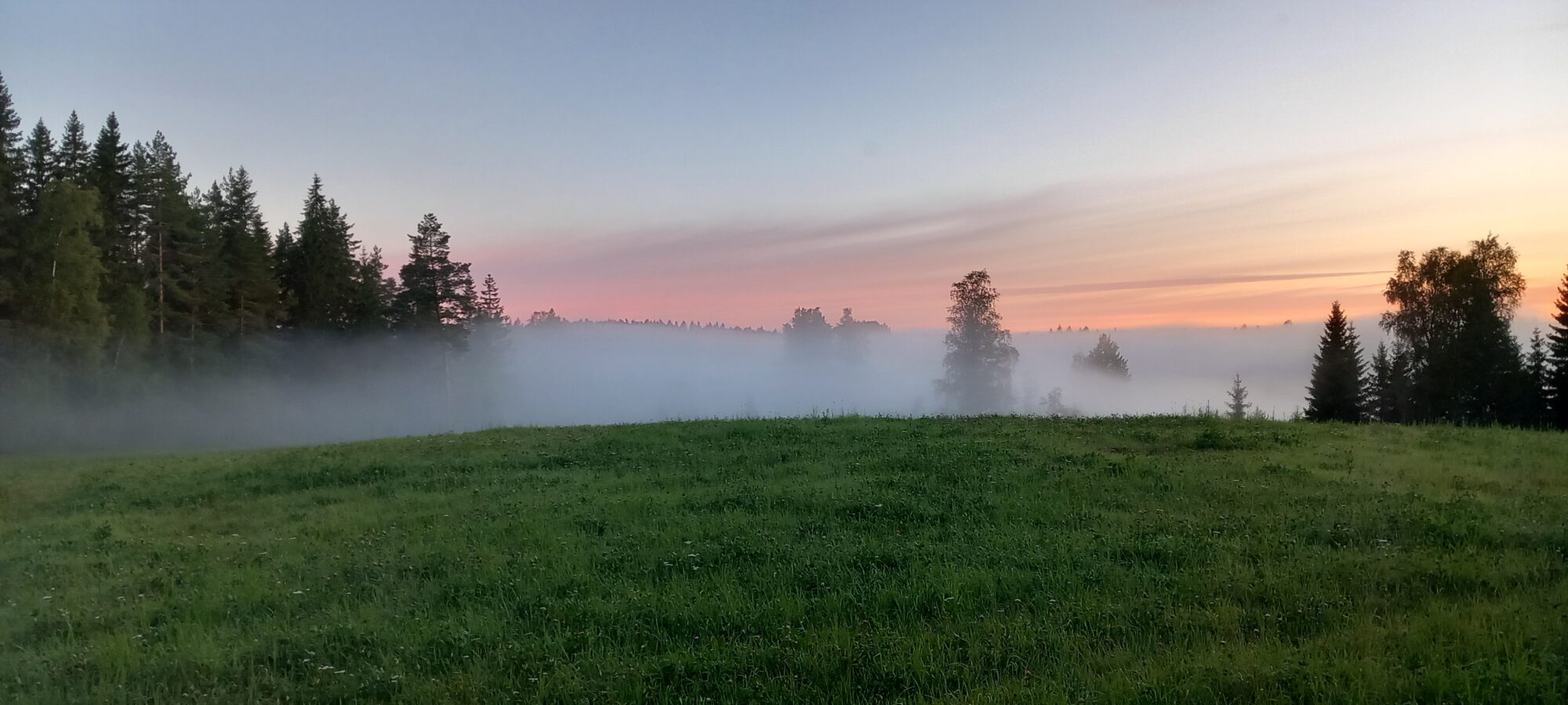 Valokuvaaja: Helena Minkkilä
