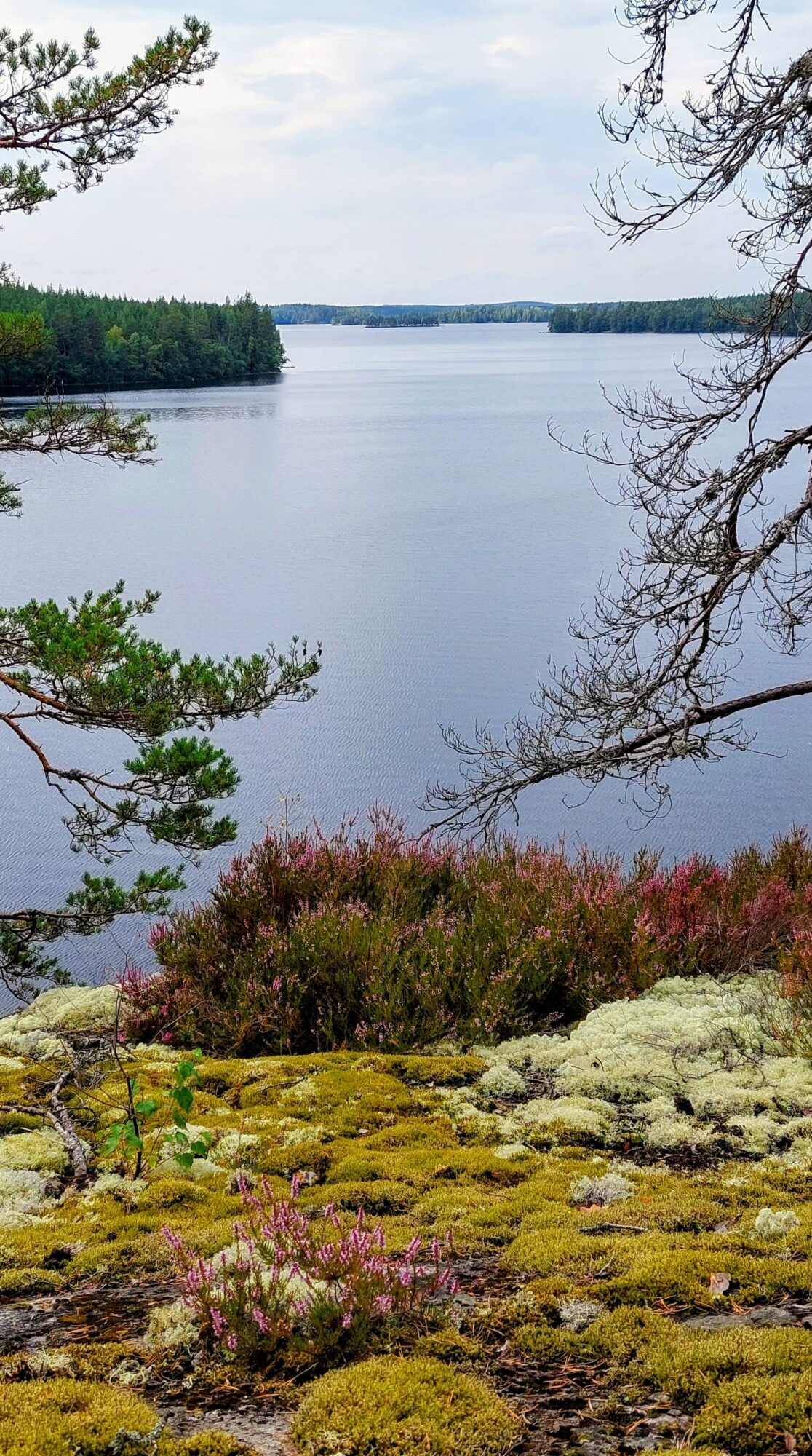 Valokuvaaja: Tarja Naukkarinen