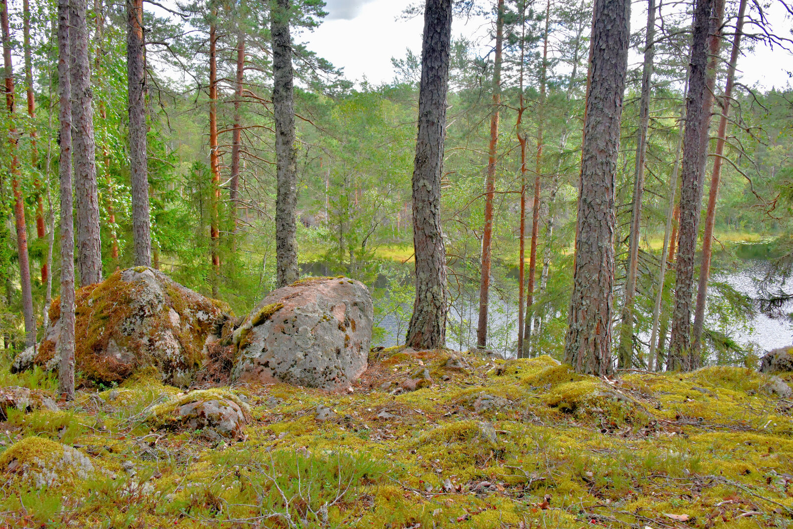 Valokuvaaja: Reijo Juurinen