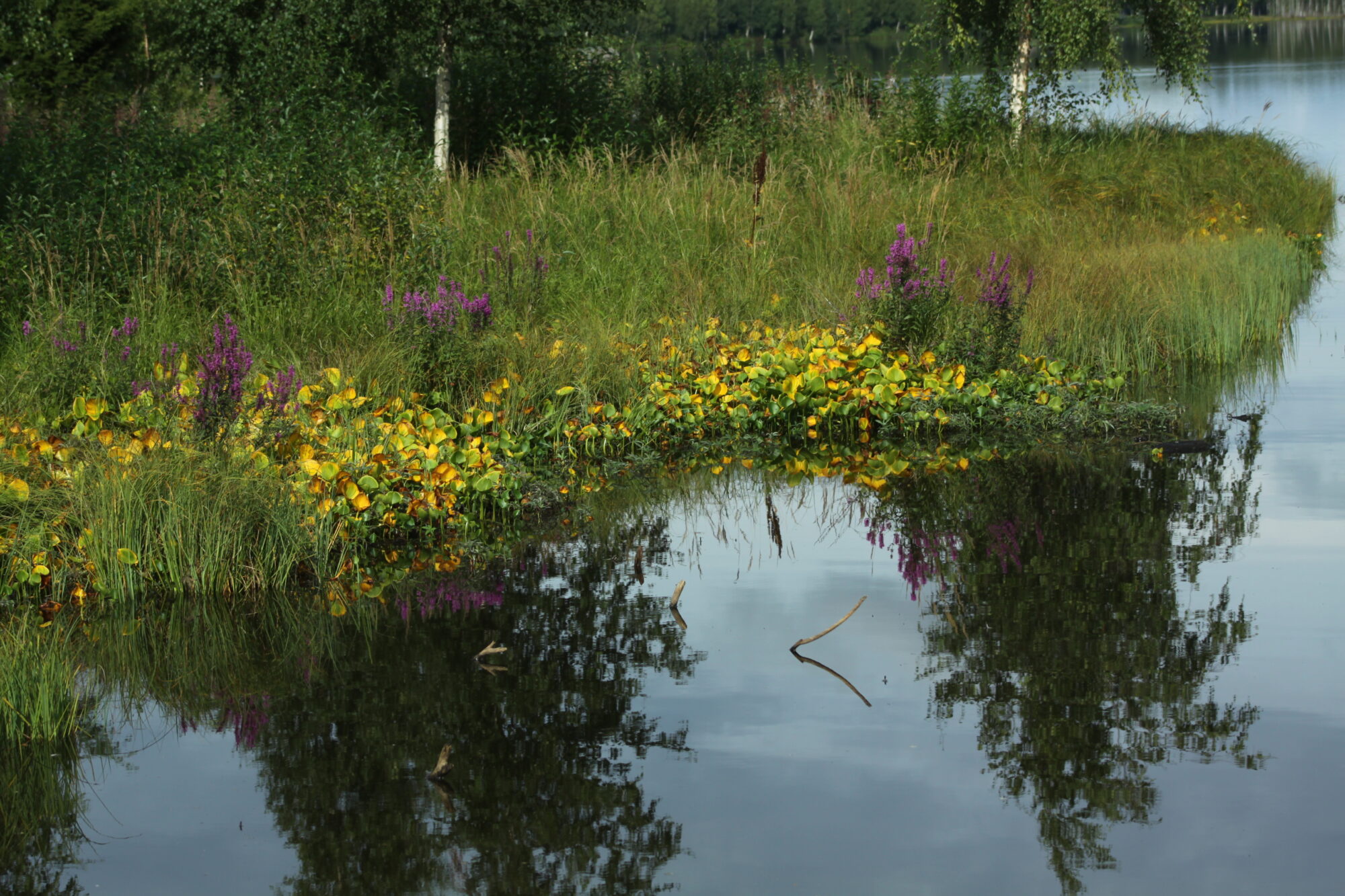 Valokuvaaja: Pirkko Siukonen