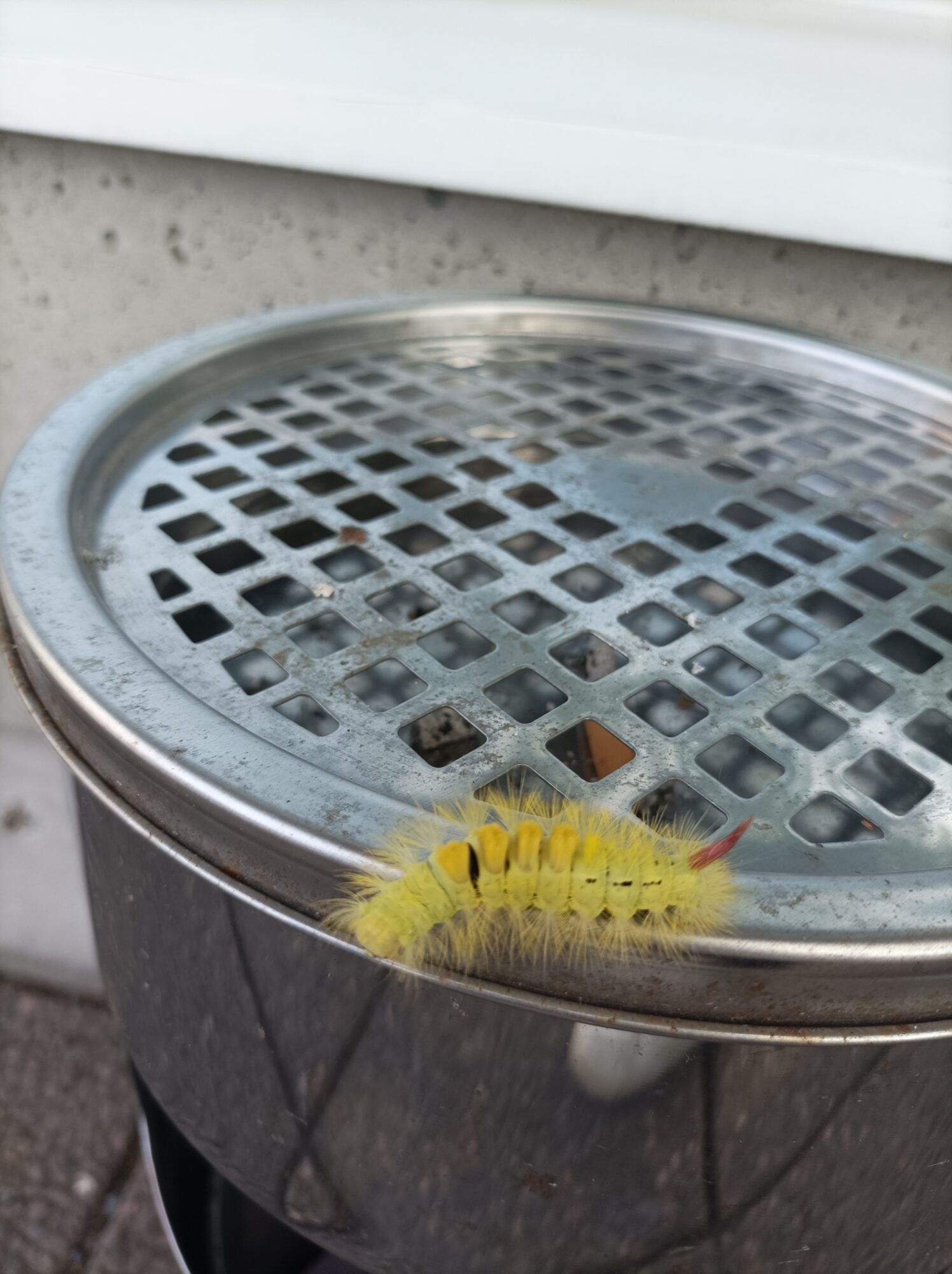 Valokuvaaja: Terhi Vehkaoja