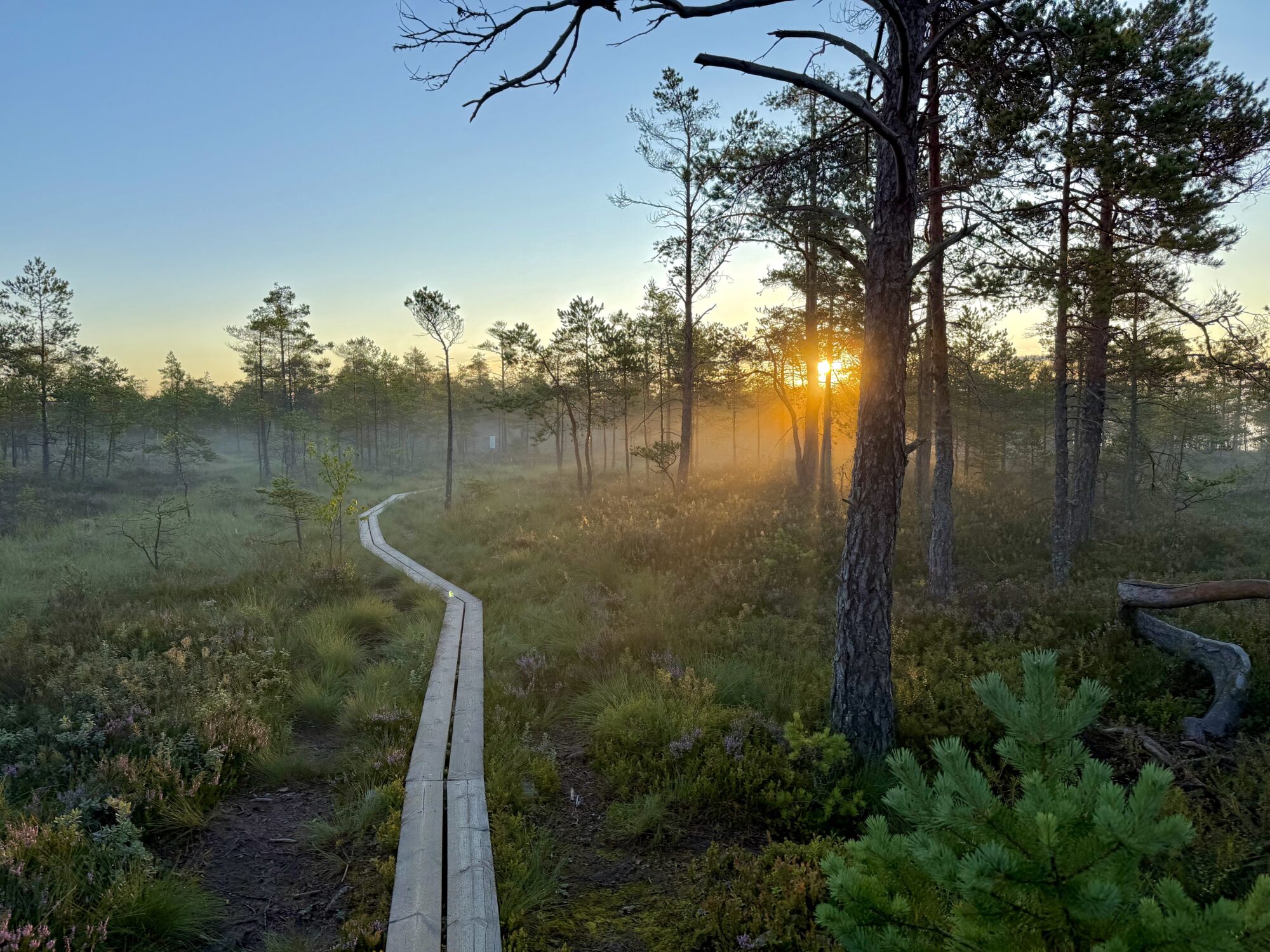 Valokuvaaja: Juhani Peltonen