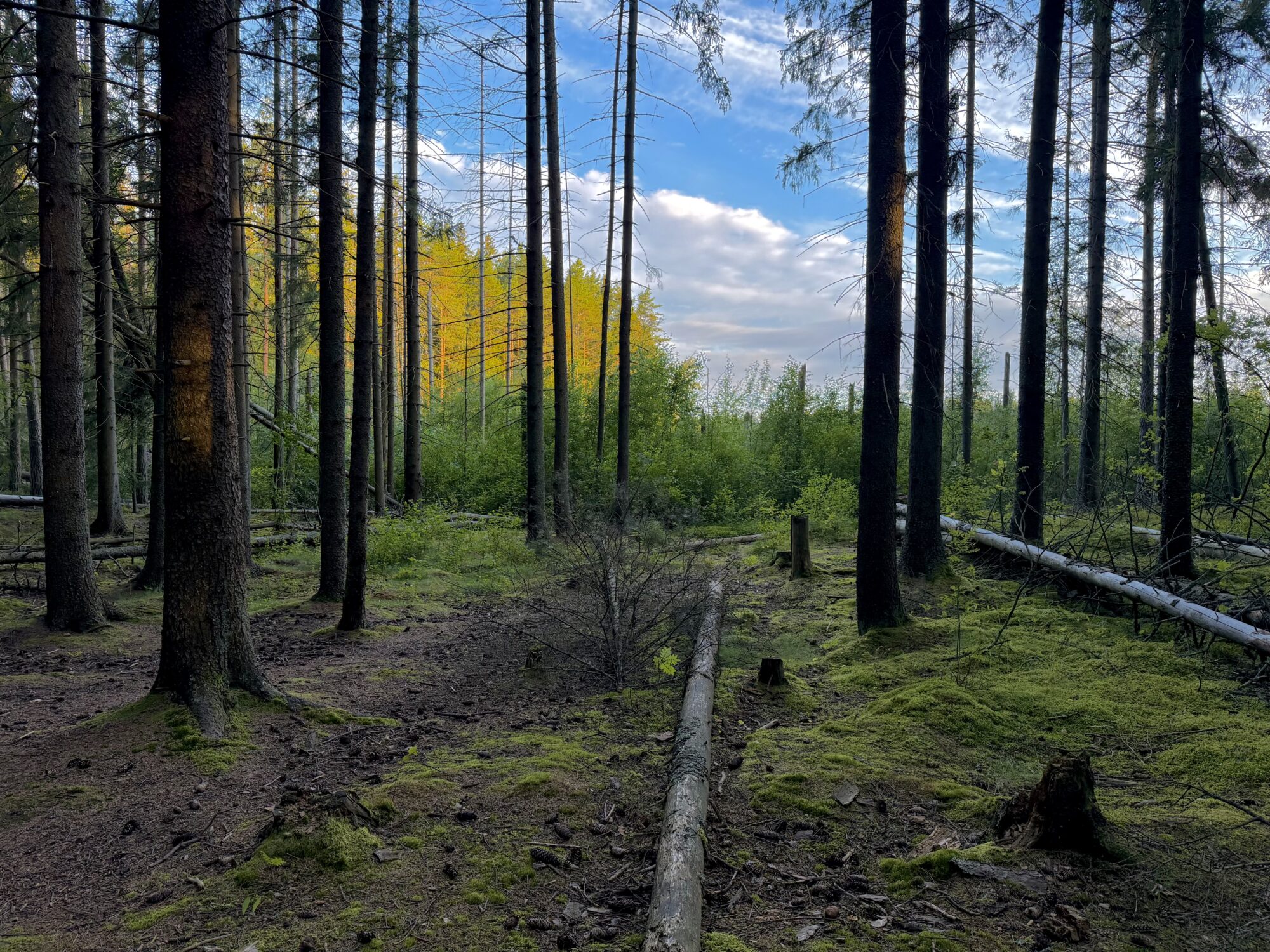 Valokuvaaja: Juhani Peltonen