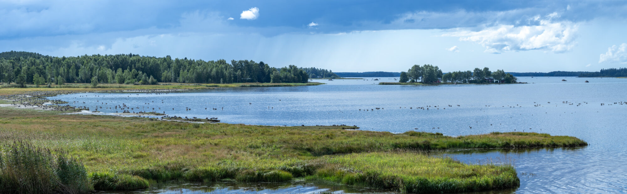 Valokuvaaja: Hannu Tikkanen