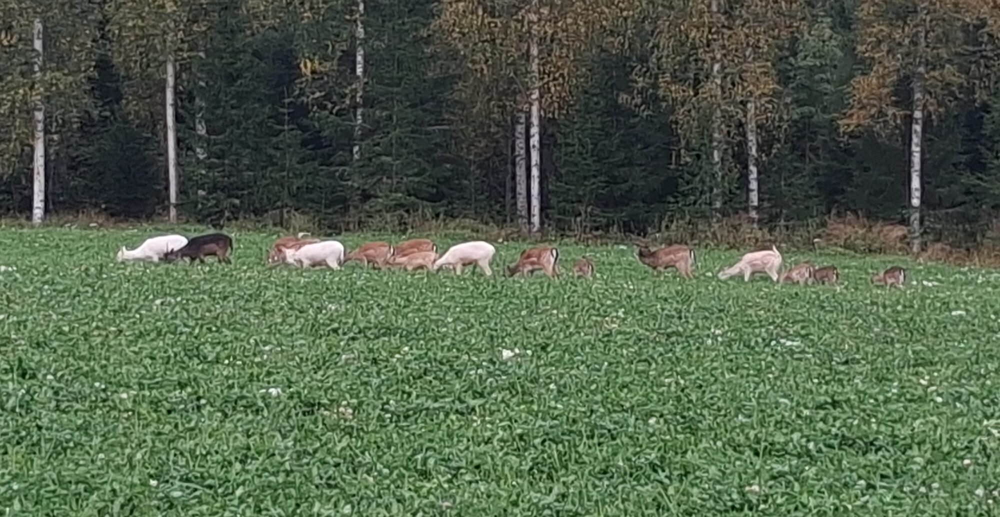 Valokuvaaja: Anu Vainikainen