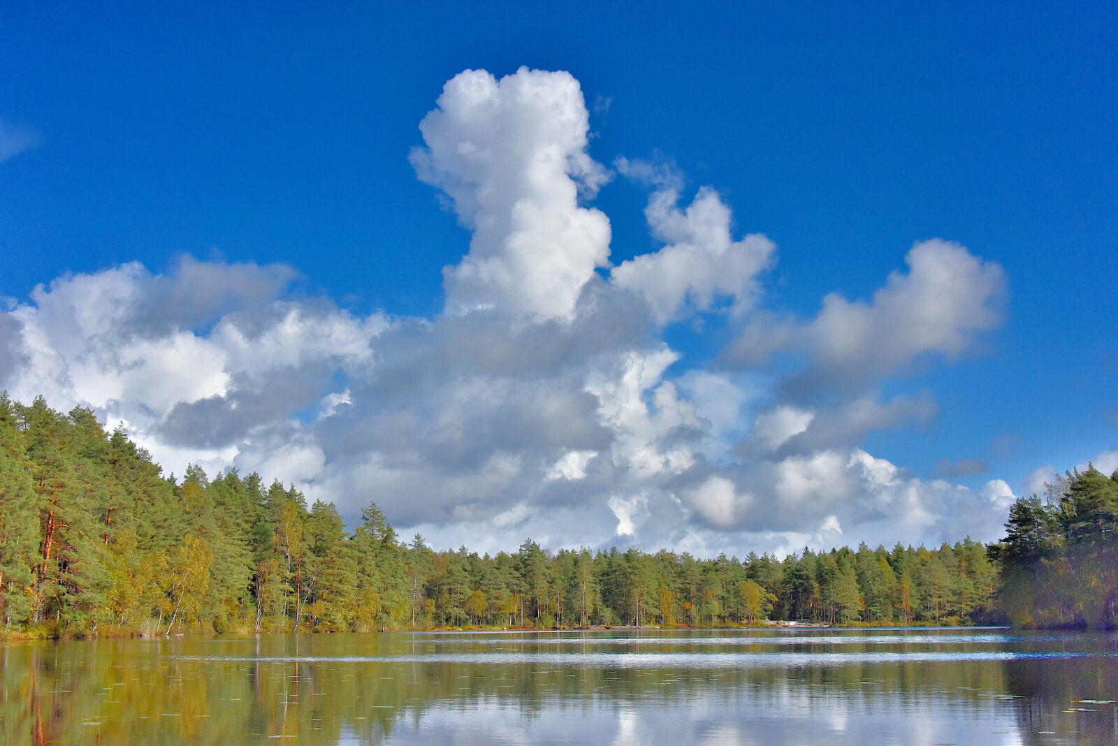 Valokuvaaja: Reijo Juurinen