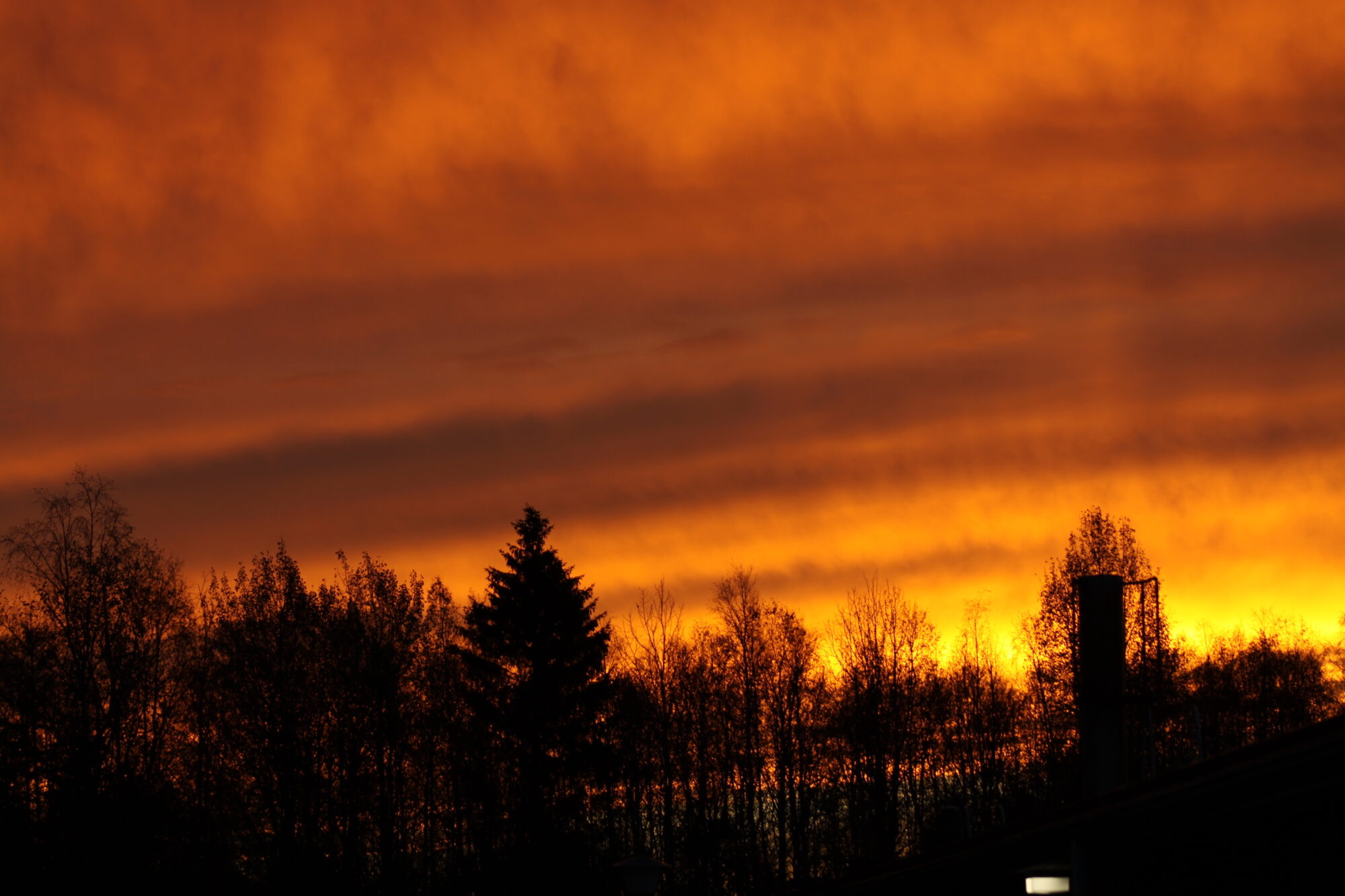Valokuvaaja: Pirkko Siukonen