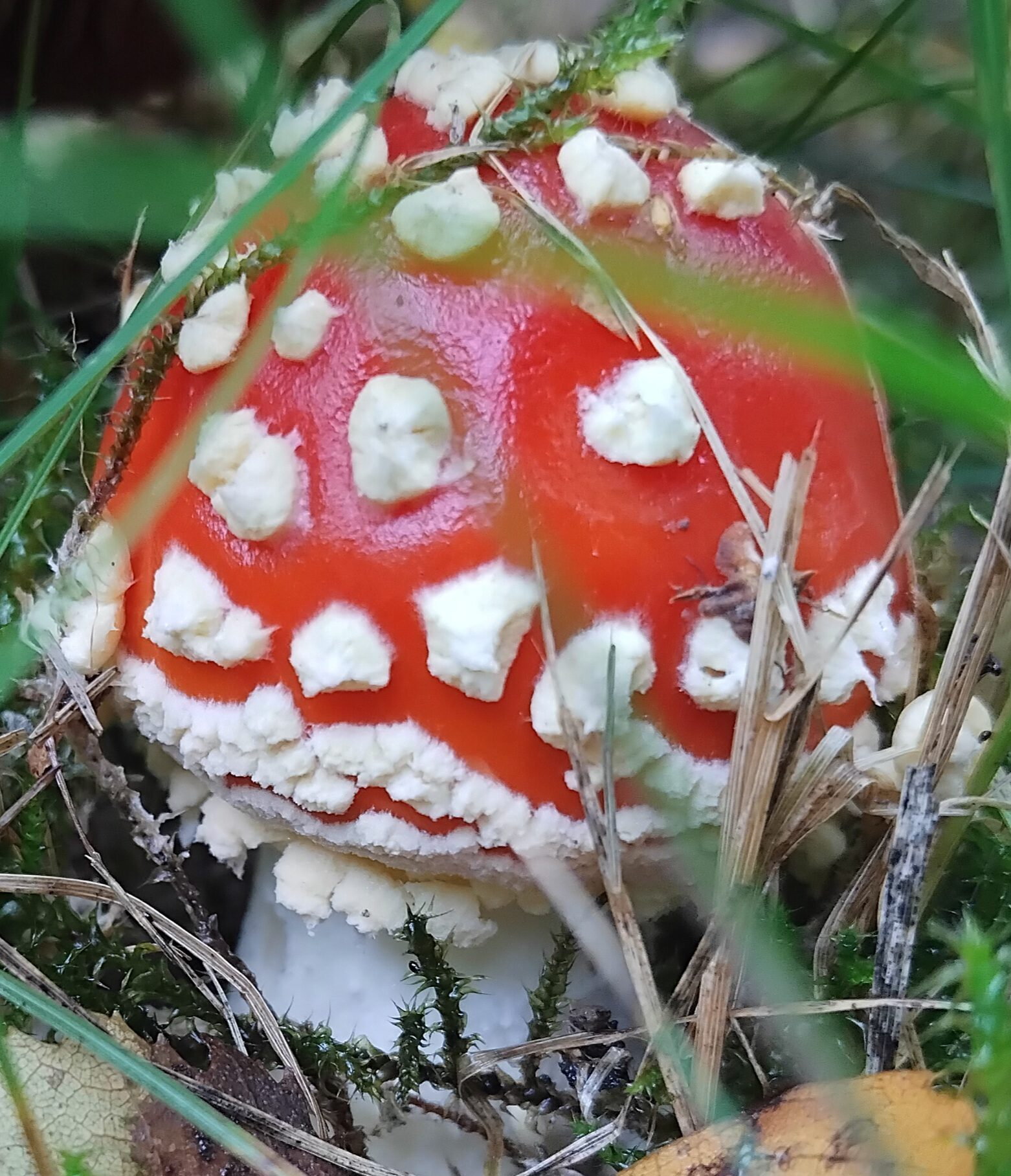 Valokuvaaja: Topi Ahola