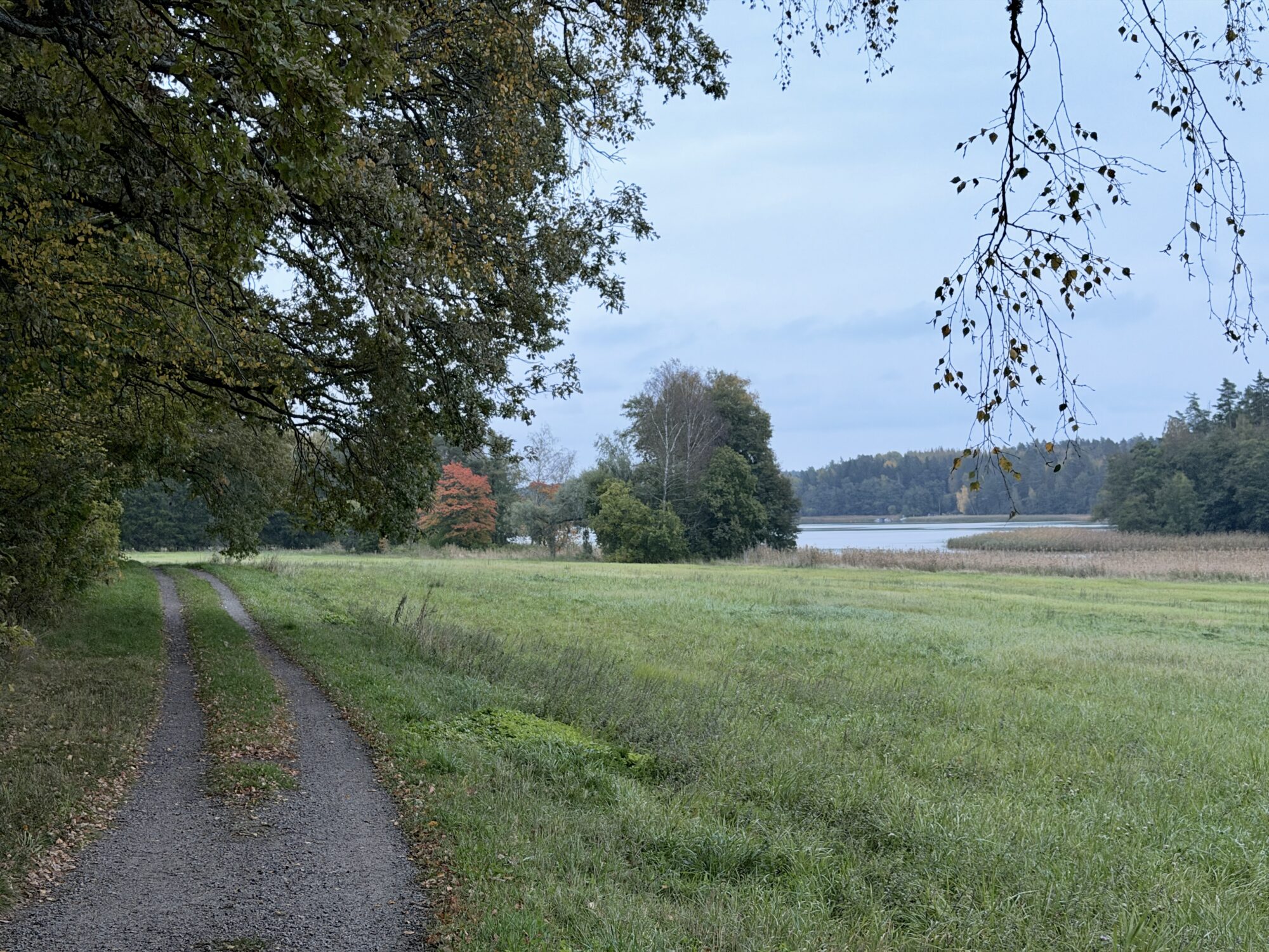 Valokuvaaja: Juhani Peltonen