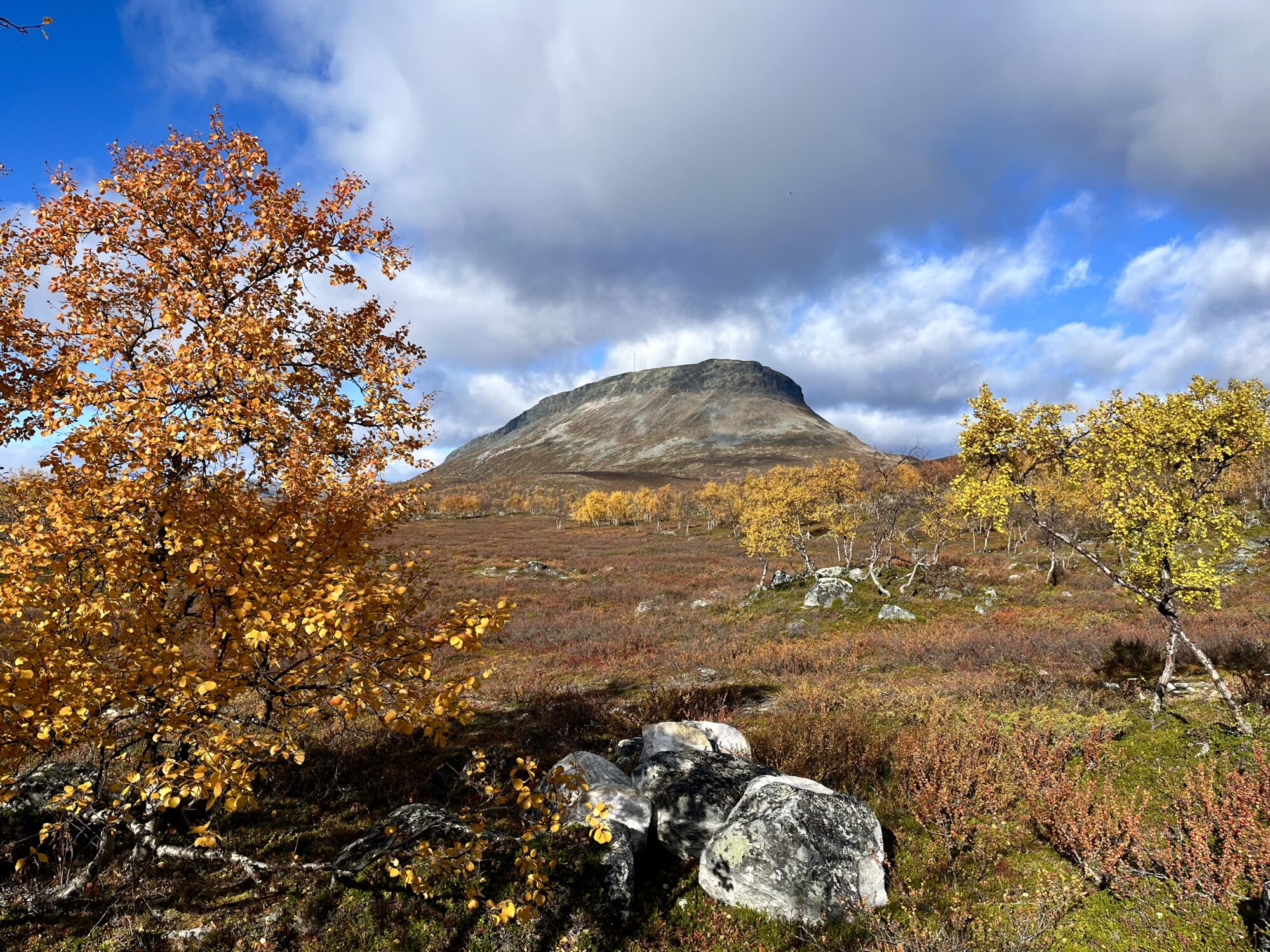 Valokuvaaja: Tuukka Pahtamaa