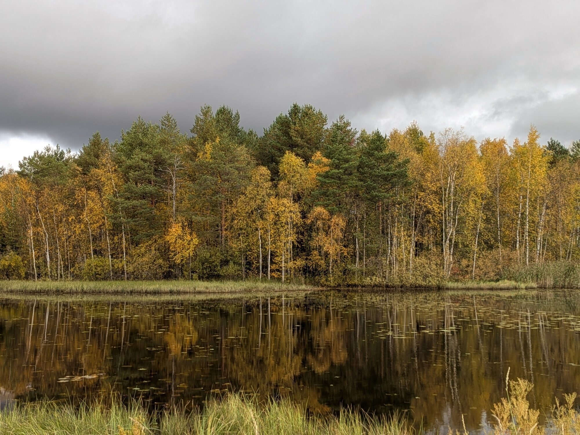 Valokuvaaja: Saara Keinonen