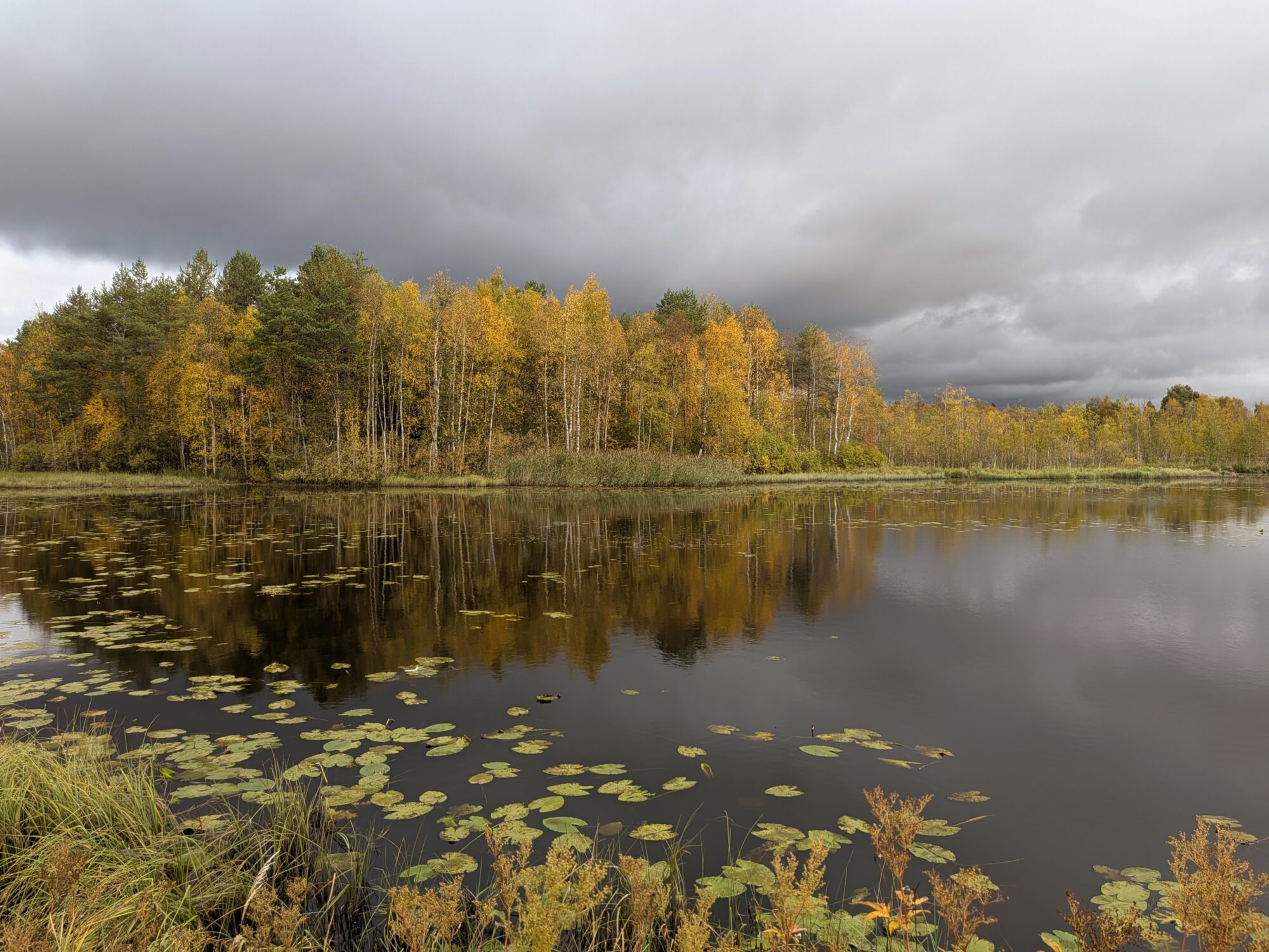 Valokuvaaja: Saara Keinonen